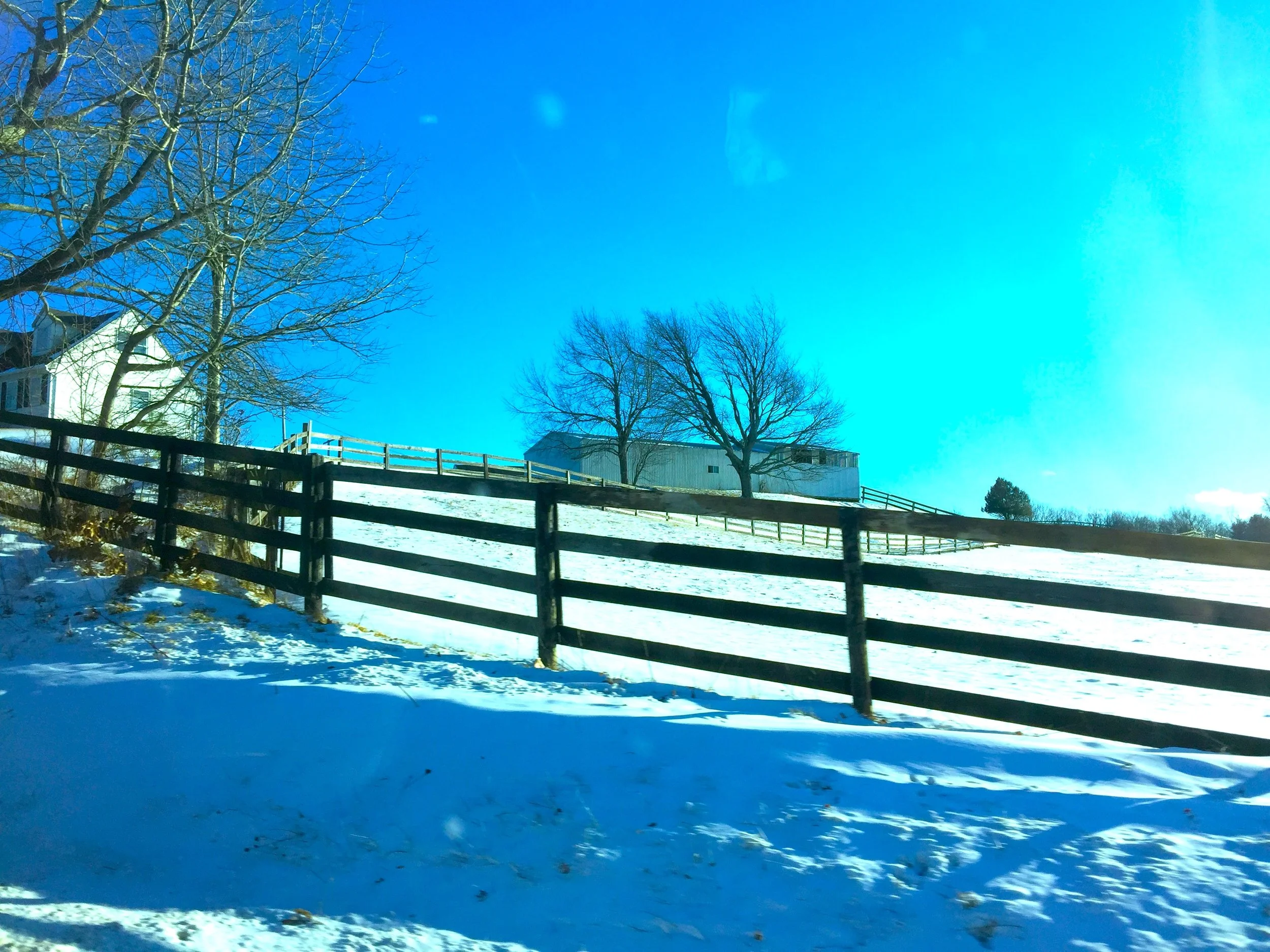 A Ranch in Snow 雪原•牧場
