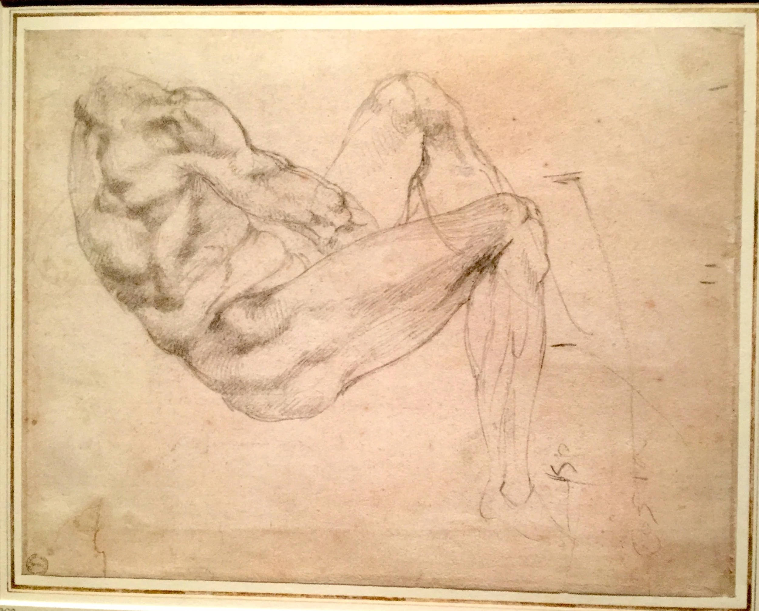  Study of a Reclining Nude 米開郞基羅手稿