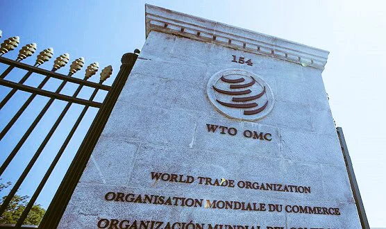 "U.S. Admits Mistake in Allowing China into WTO": What Do I Think?