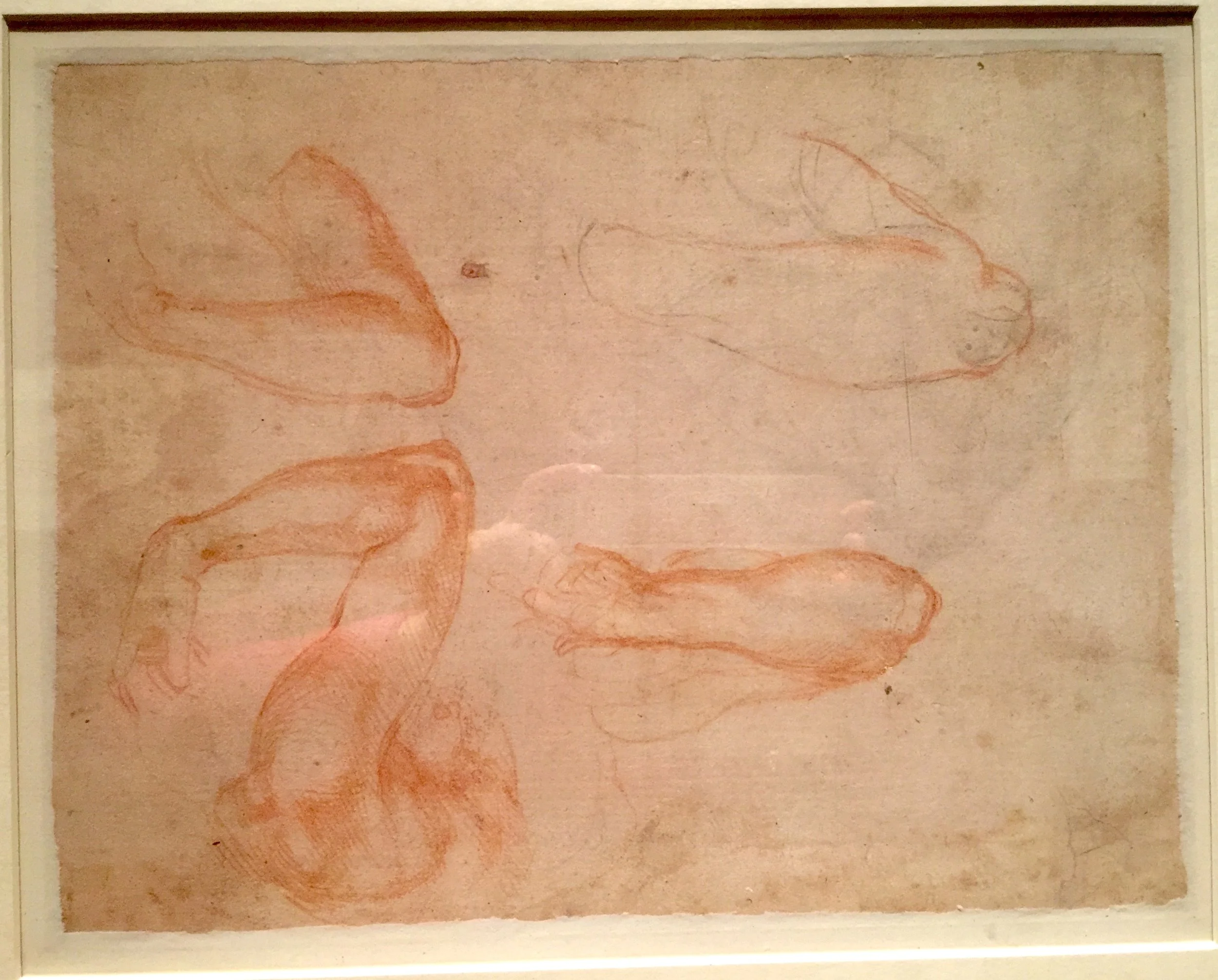 Study of Arms for Night in the New Sacristy of San Lorenze 米開郞基羅雕像《夜》設計手稿