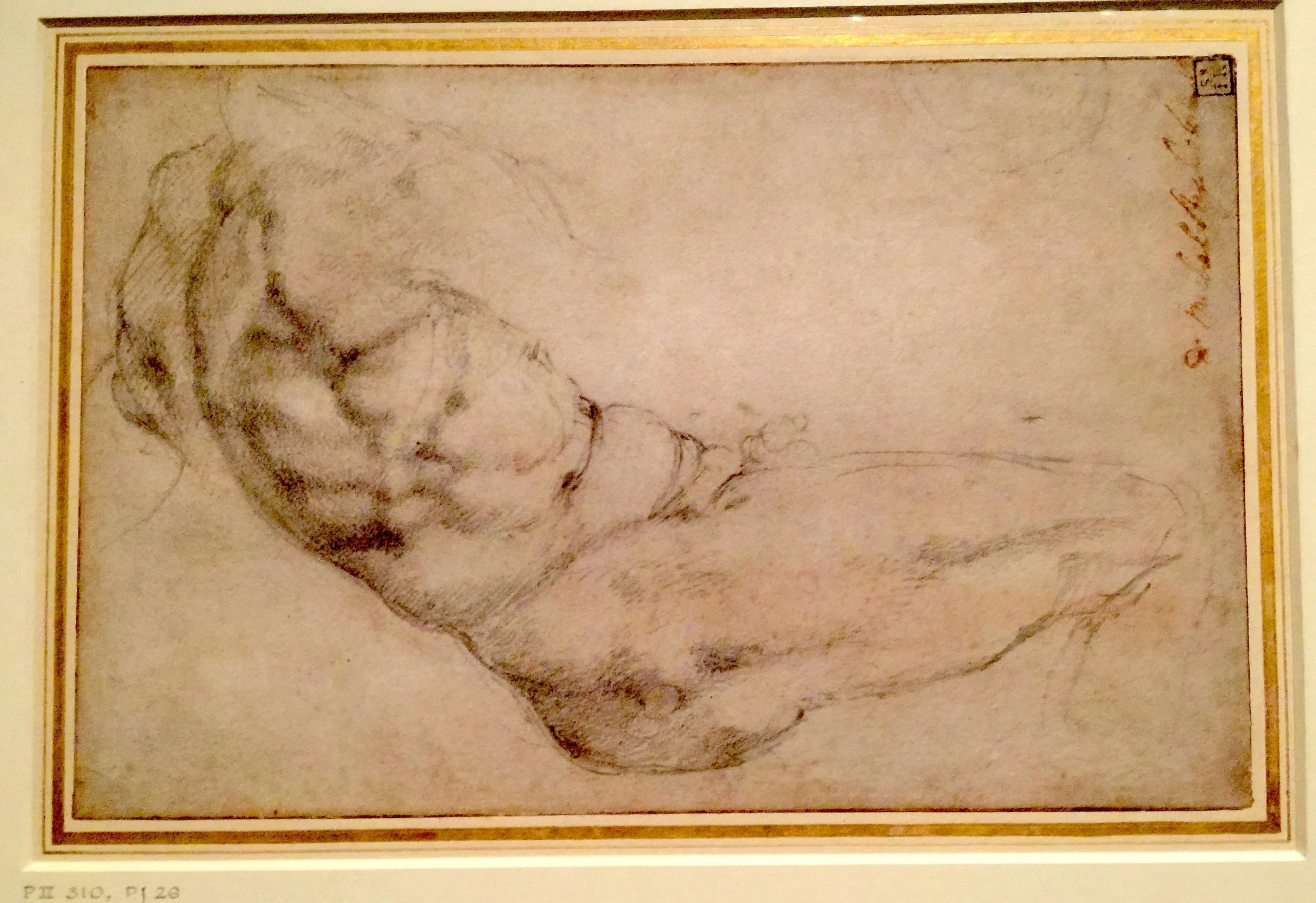 Study of a Reclining Nude 米開郞基羅手稿