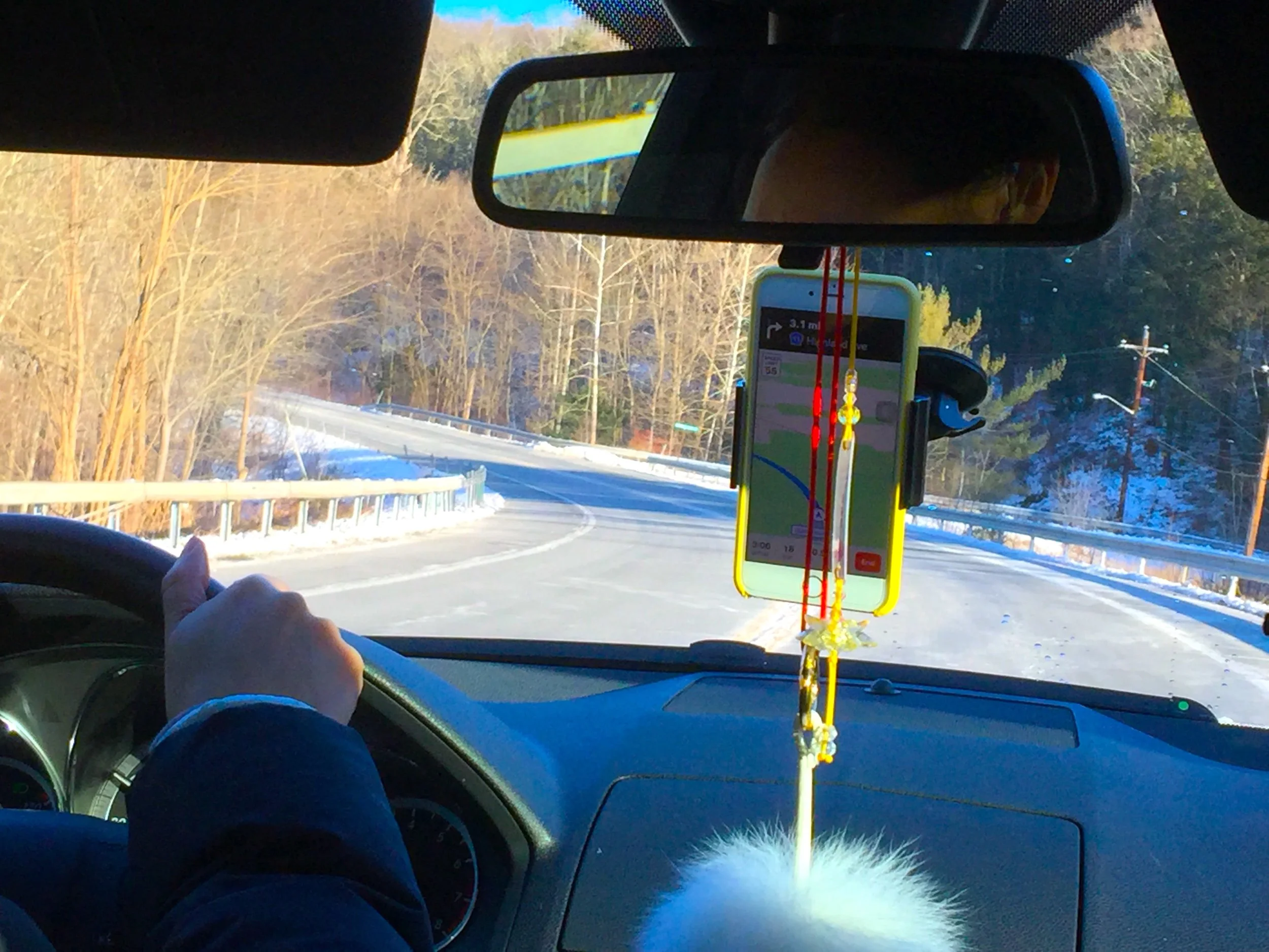 Driving into the Woods 駛向密林