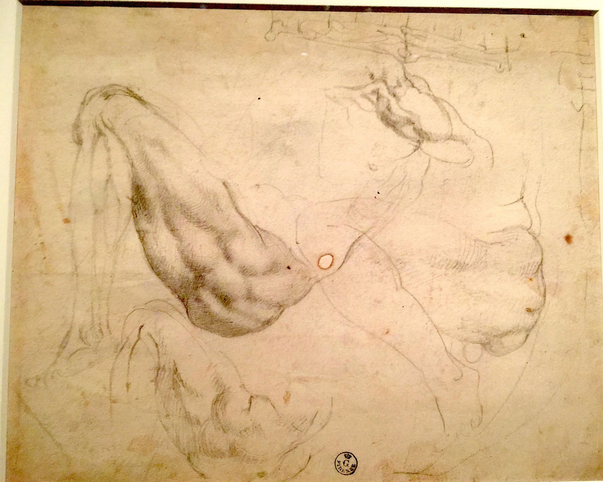 Studies for Night 米開郞基羅雕像《夜》設計手稿