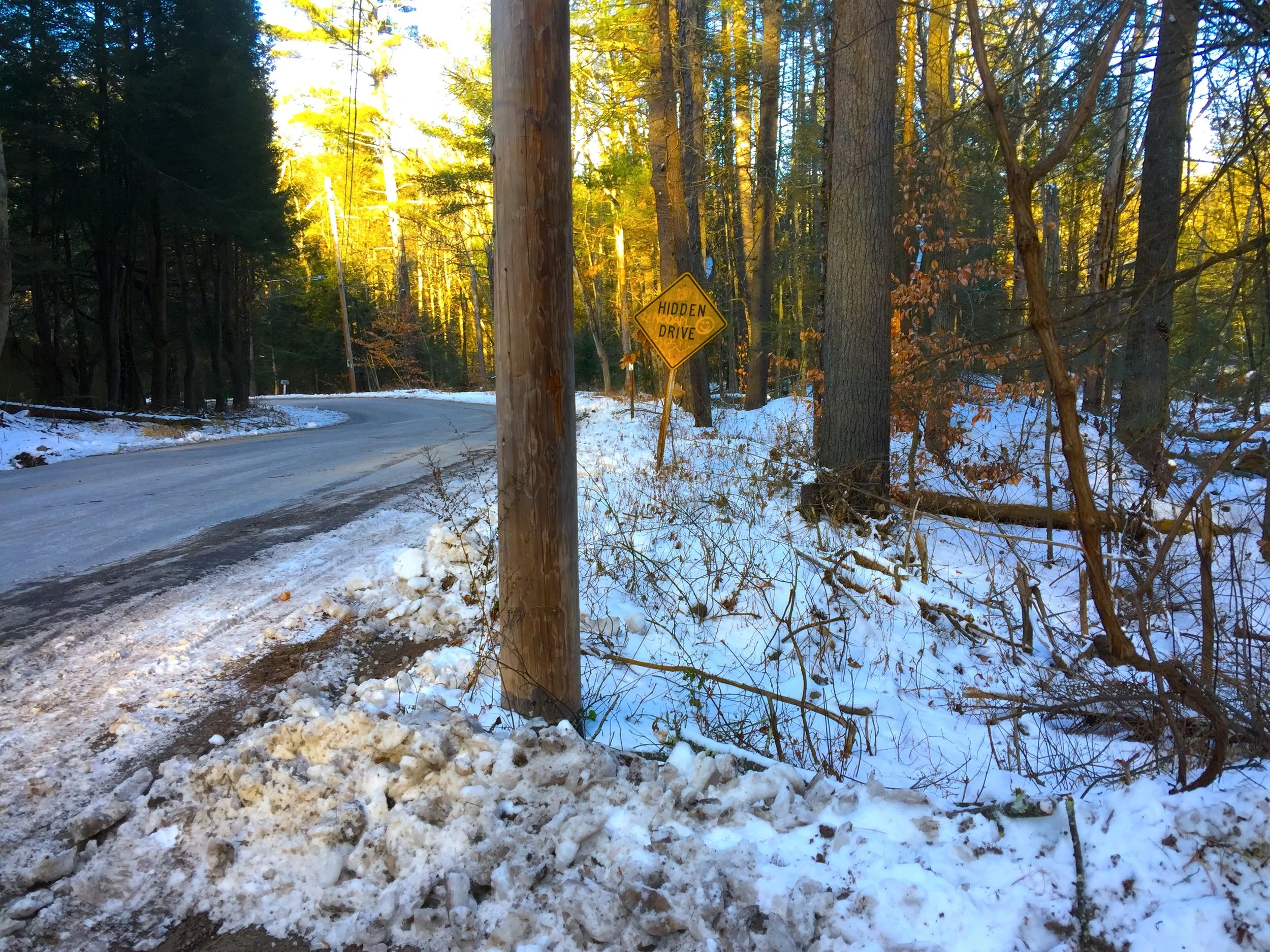 Woods &amp; Snow 雪中叢林