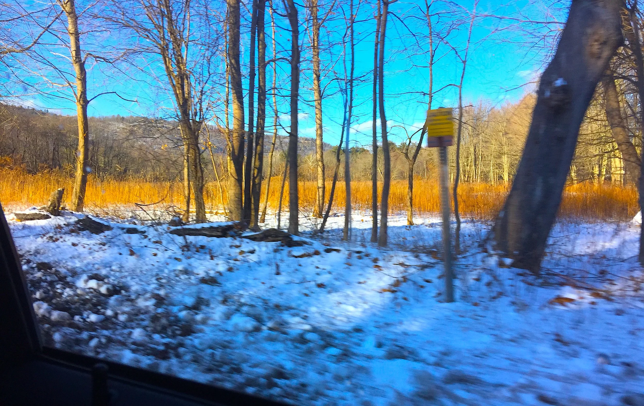 Golden Land 金色原野