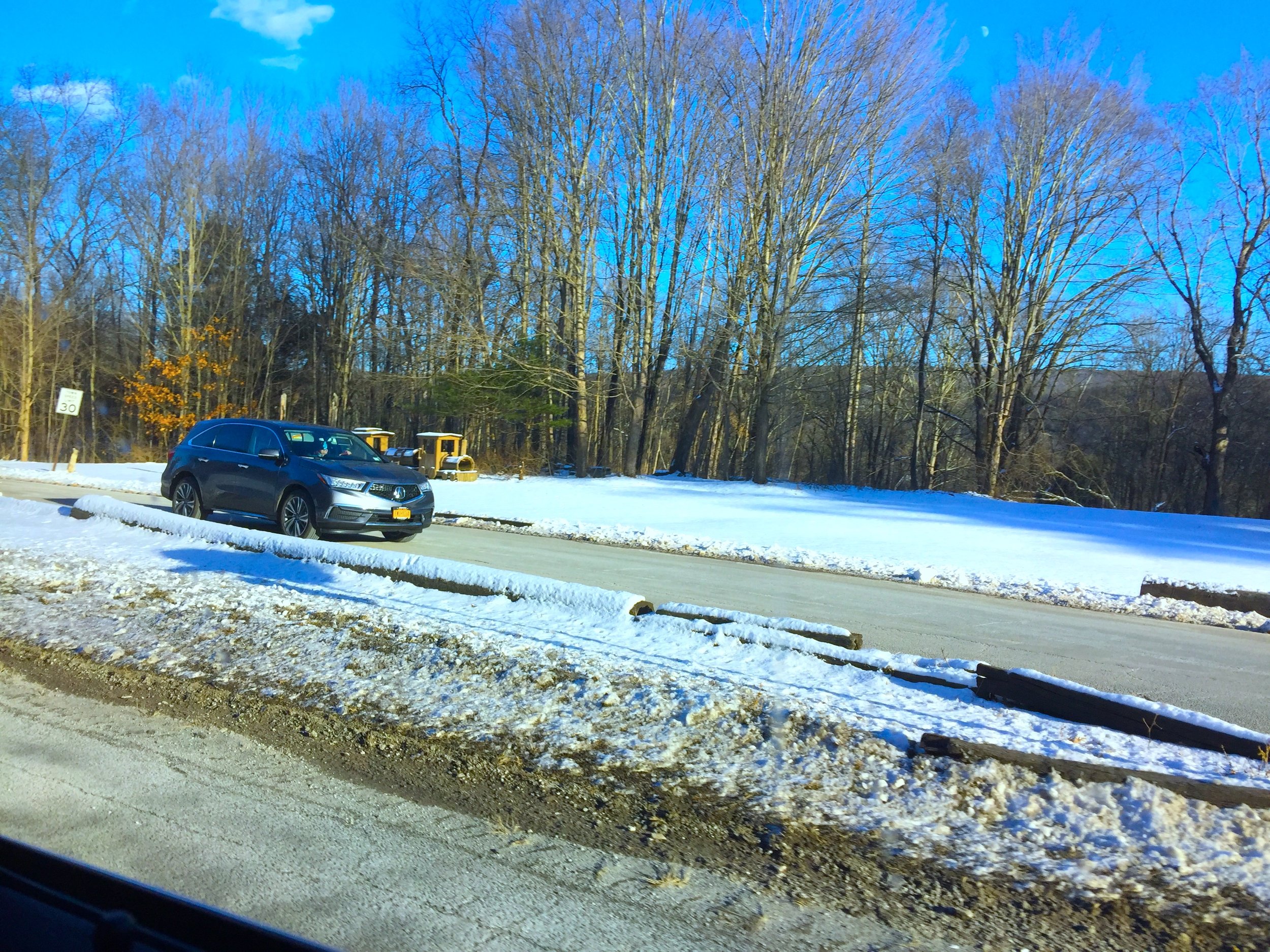 Into the Woods 林中小景