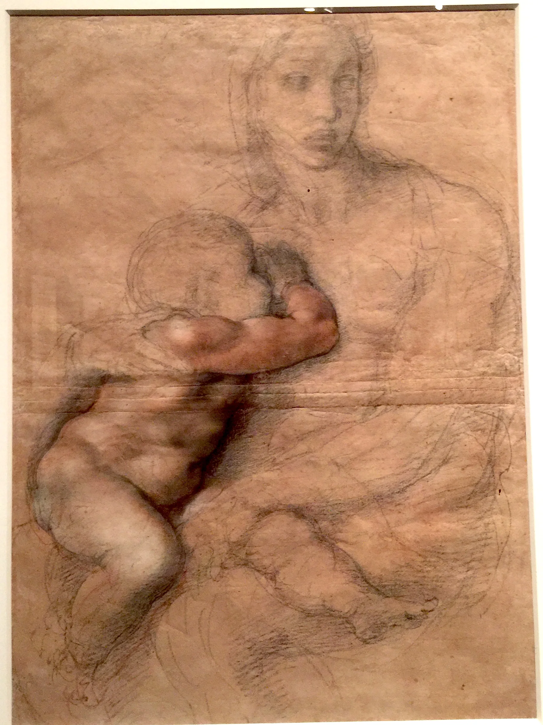 Unfinished Cartoon of the Virgin and Child 米開朗基羅未完成手稿「聖母聖嬰」