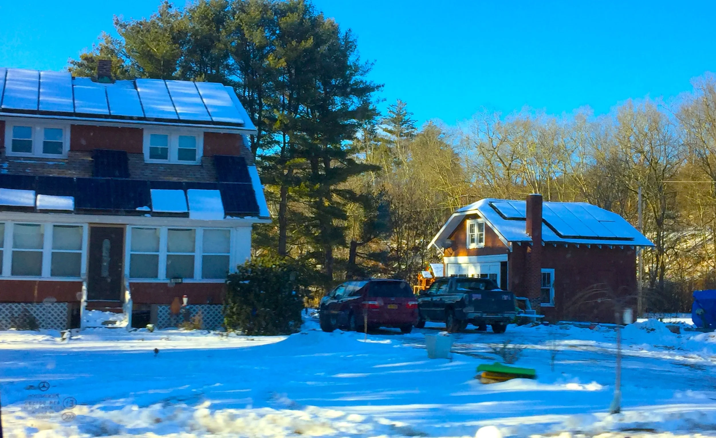 Home in the Woods 林中家園