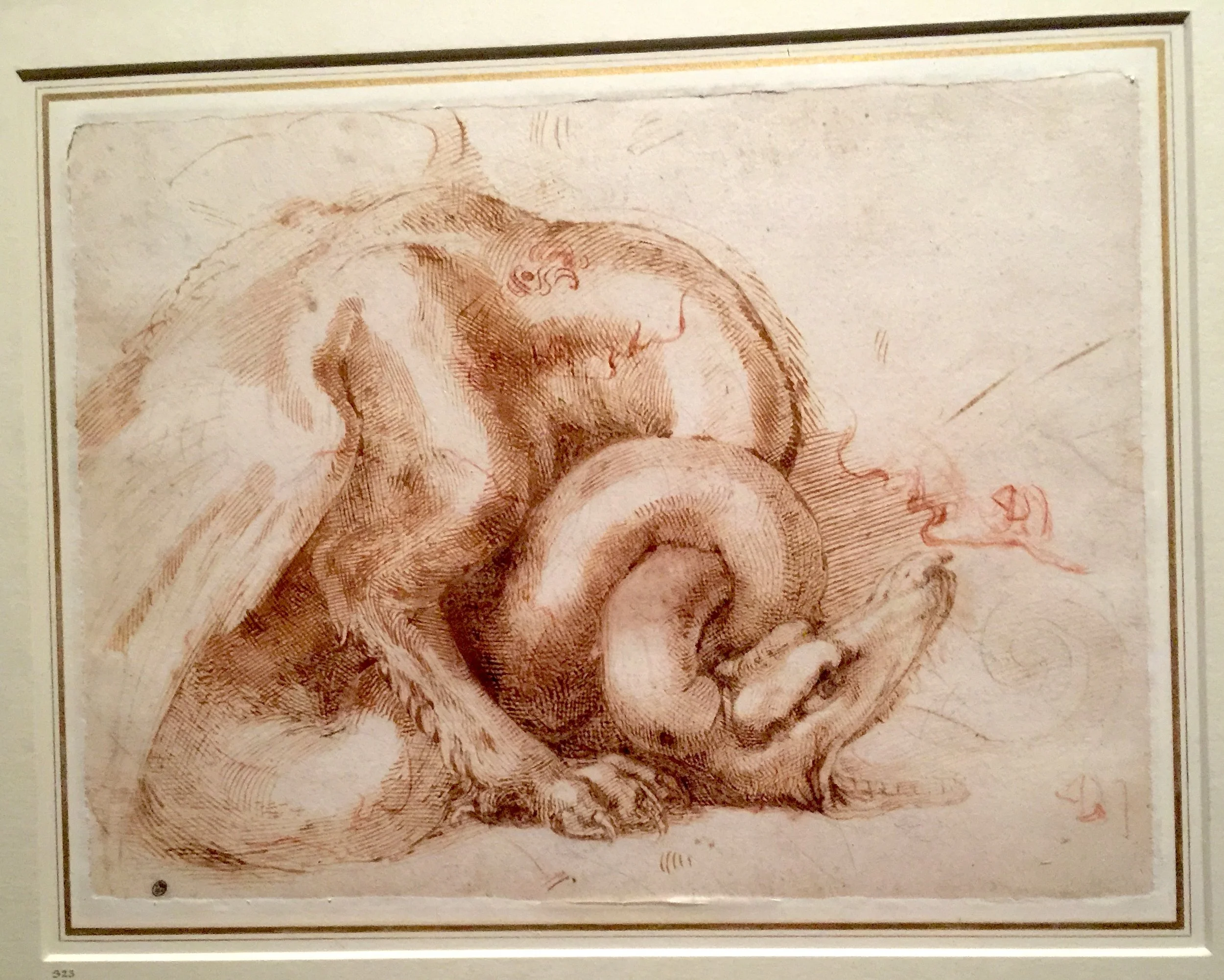 Study of a Dragon 米開朗基羅與學生手稿「龍」