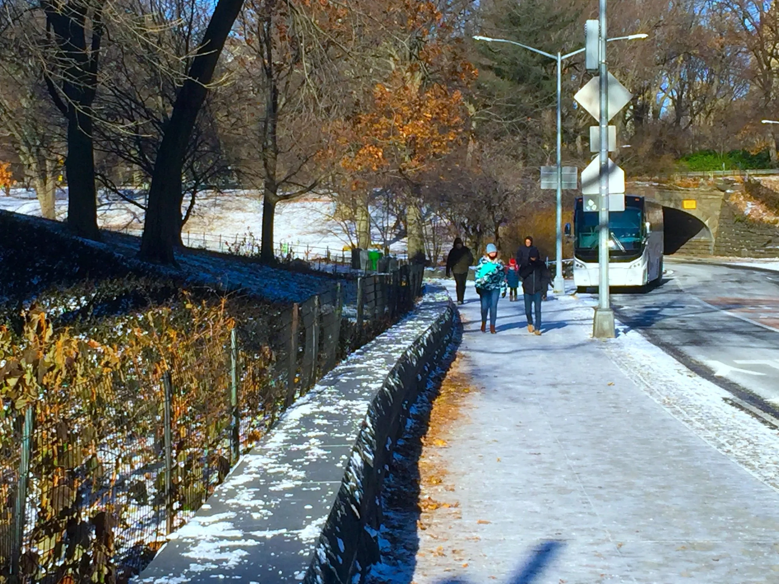 A Winter Day in New Year 紐約冬日
