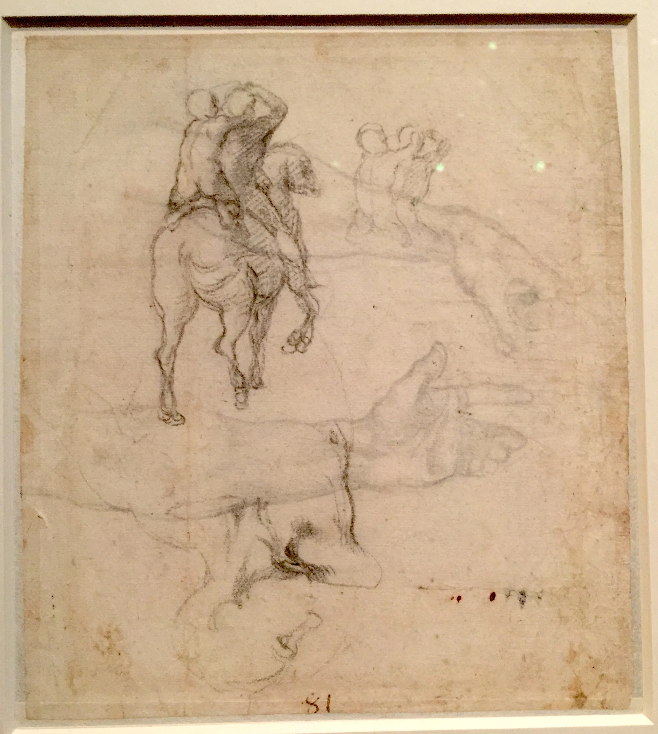Michelangelo Two Sketches of Male Nudes for the Battle of Cascina 米開郞基羅《卡辛那之戰》手稿
