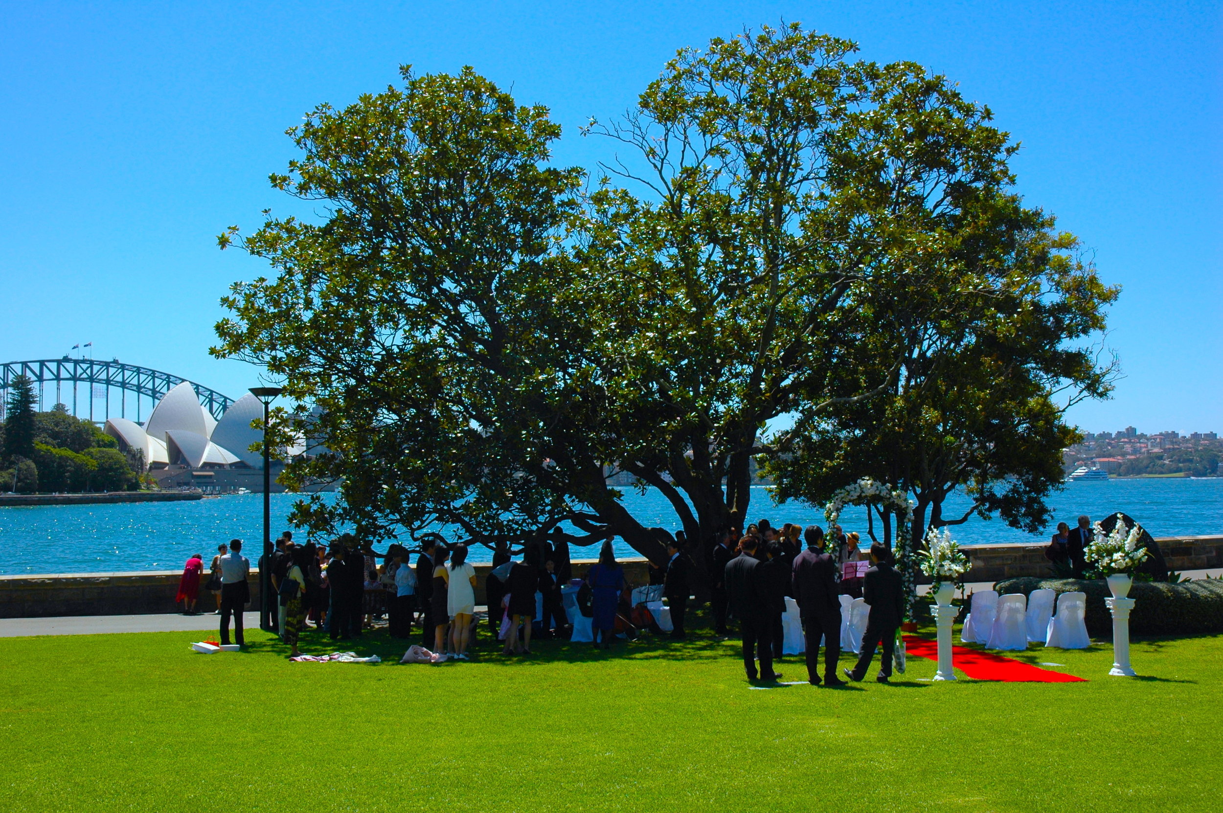 A Quiet Wedding in Sydney  婚禮等待曲