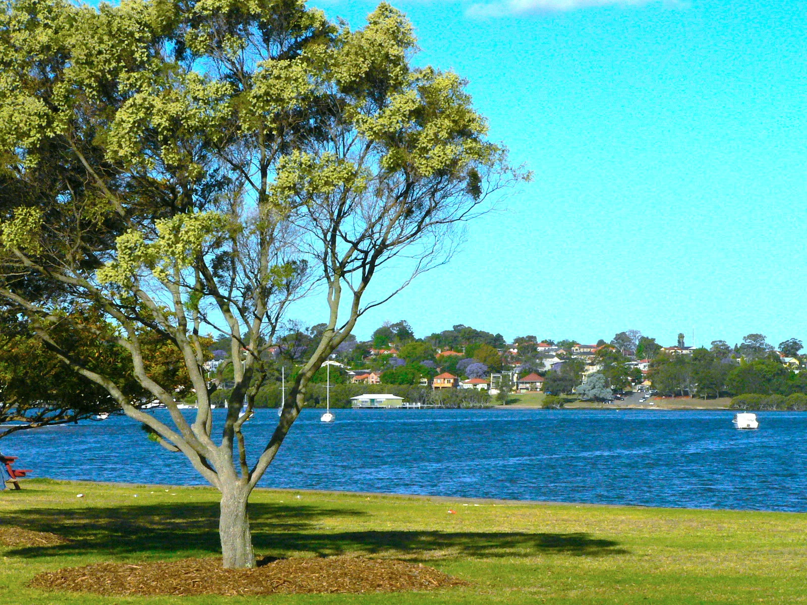 A Quite Park in Sydney  靜謐午後