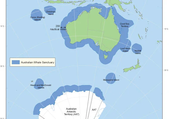 澳洲所劃定的「鯨魚保護圈」(Australia Whale Sanctuary)(圖中藍色部份)