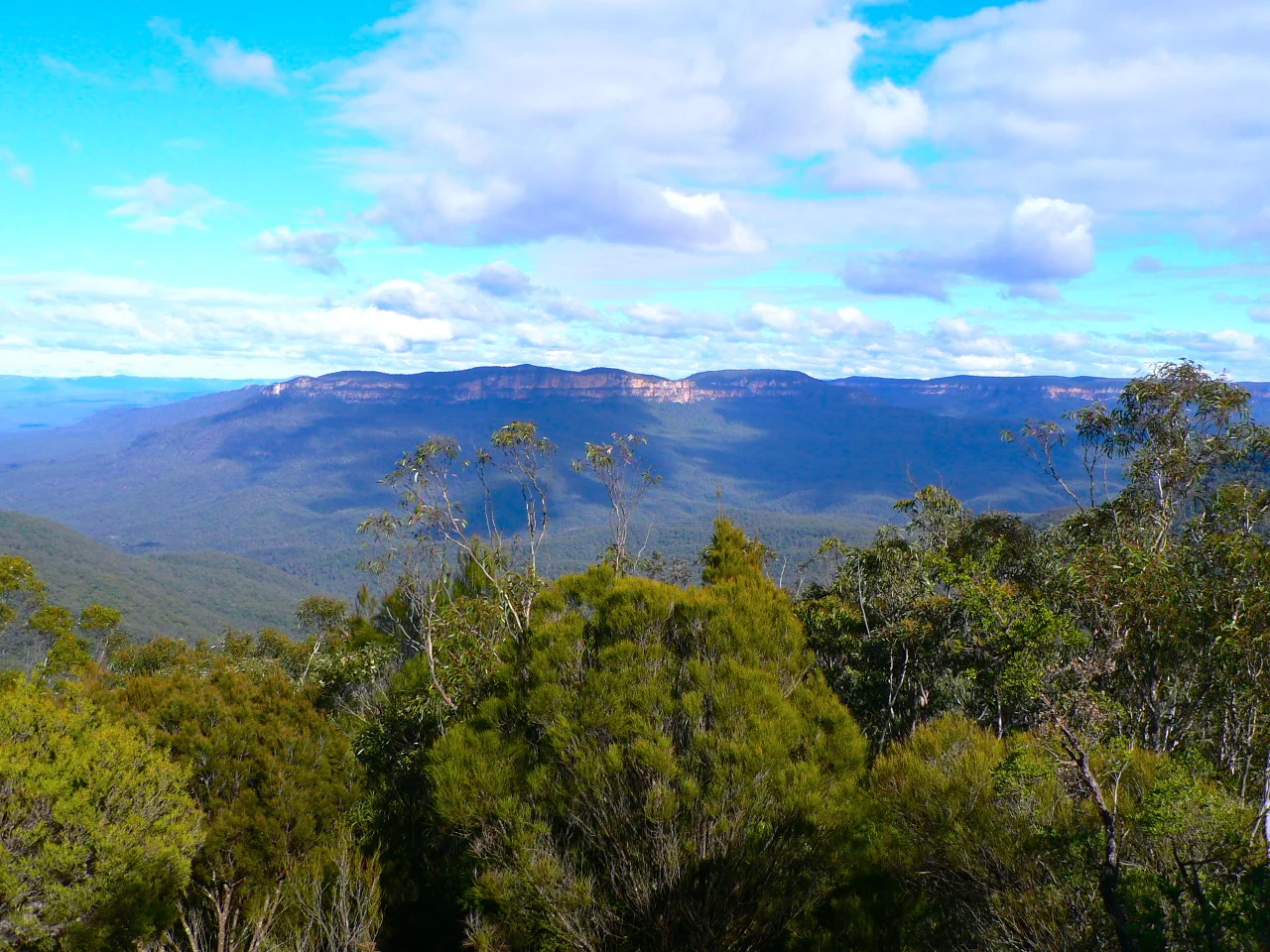 A Wide View of Blue Mountain 遠眺藍山