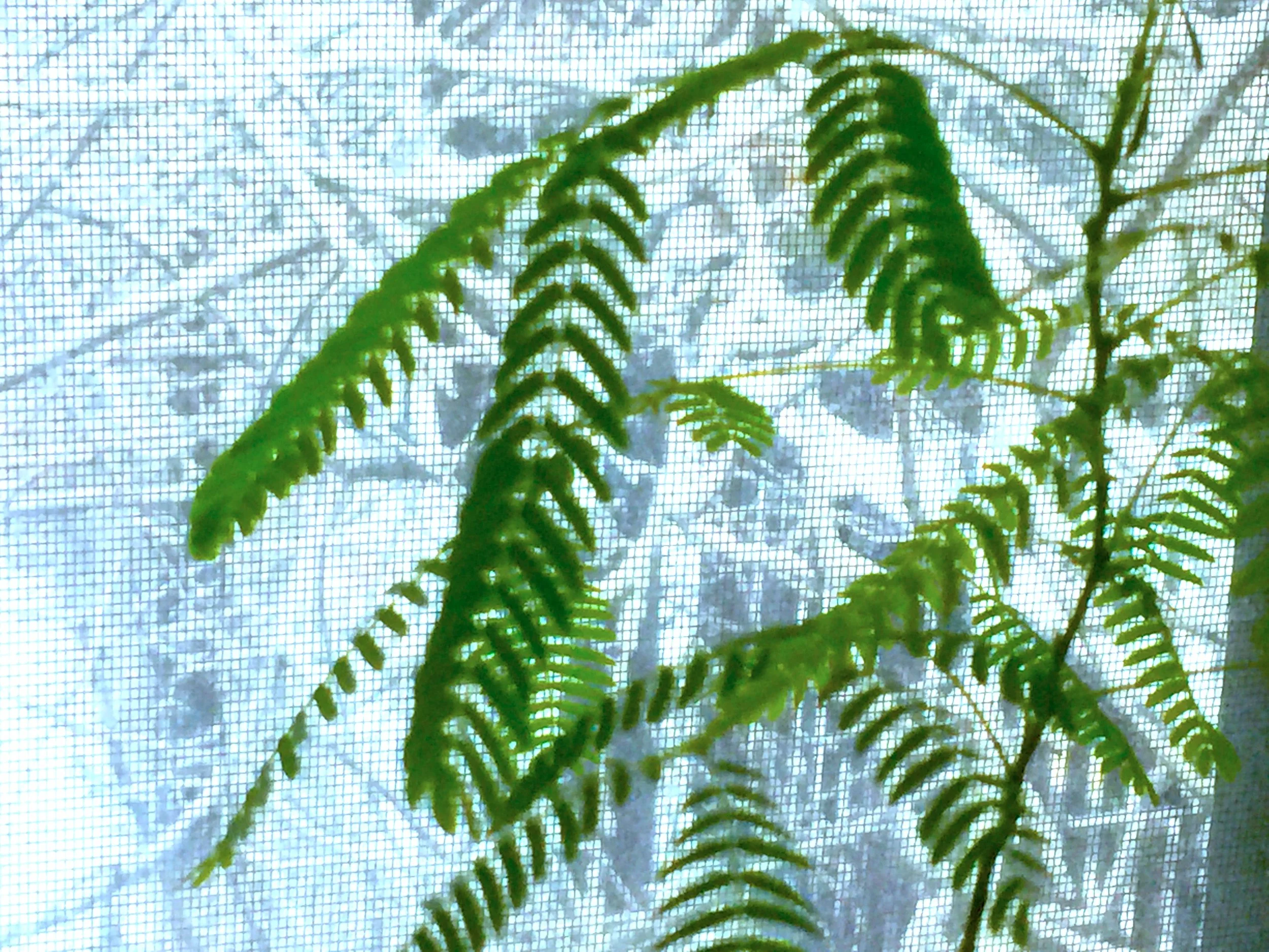 Winter in the Spring 乍暖還寒時