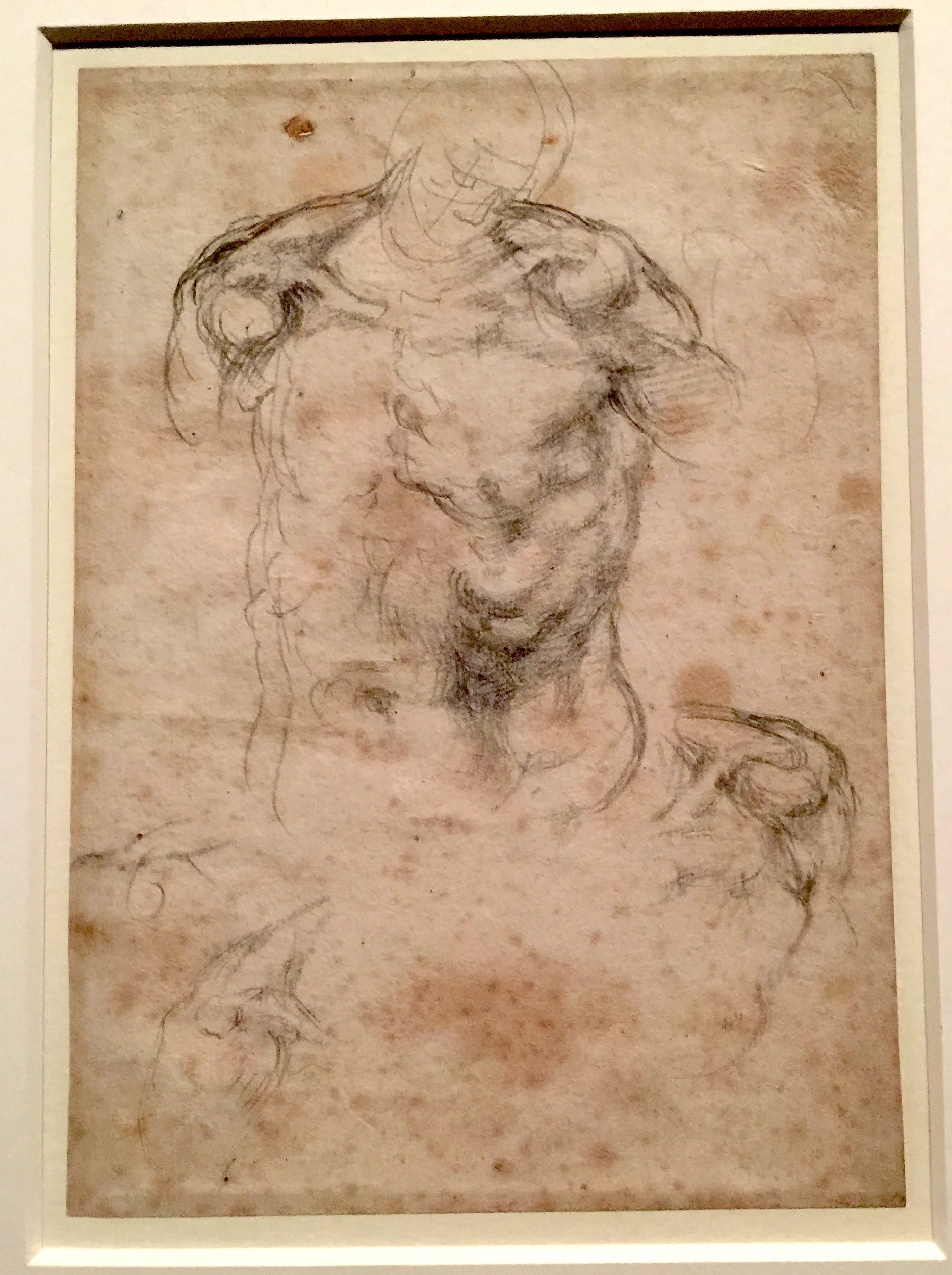 Michelangelo Studies for Christ in a Composition of the Pieta 米開郞基羅「聖殤」手稿