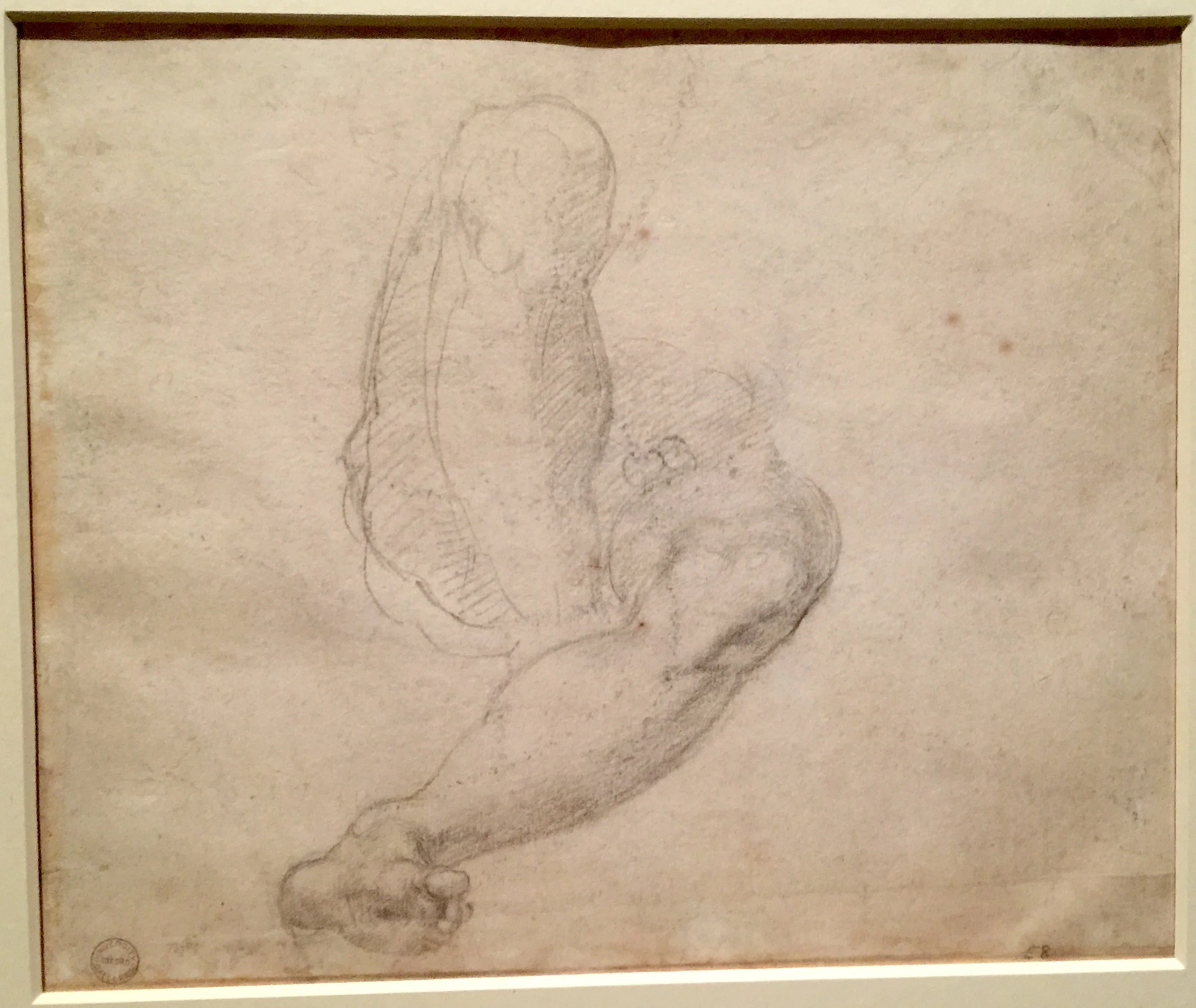 Michelangelo Studies of Legs 米開郞基羅人體腿部素描手稿
