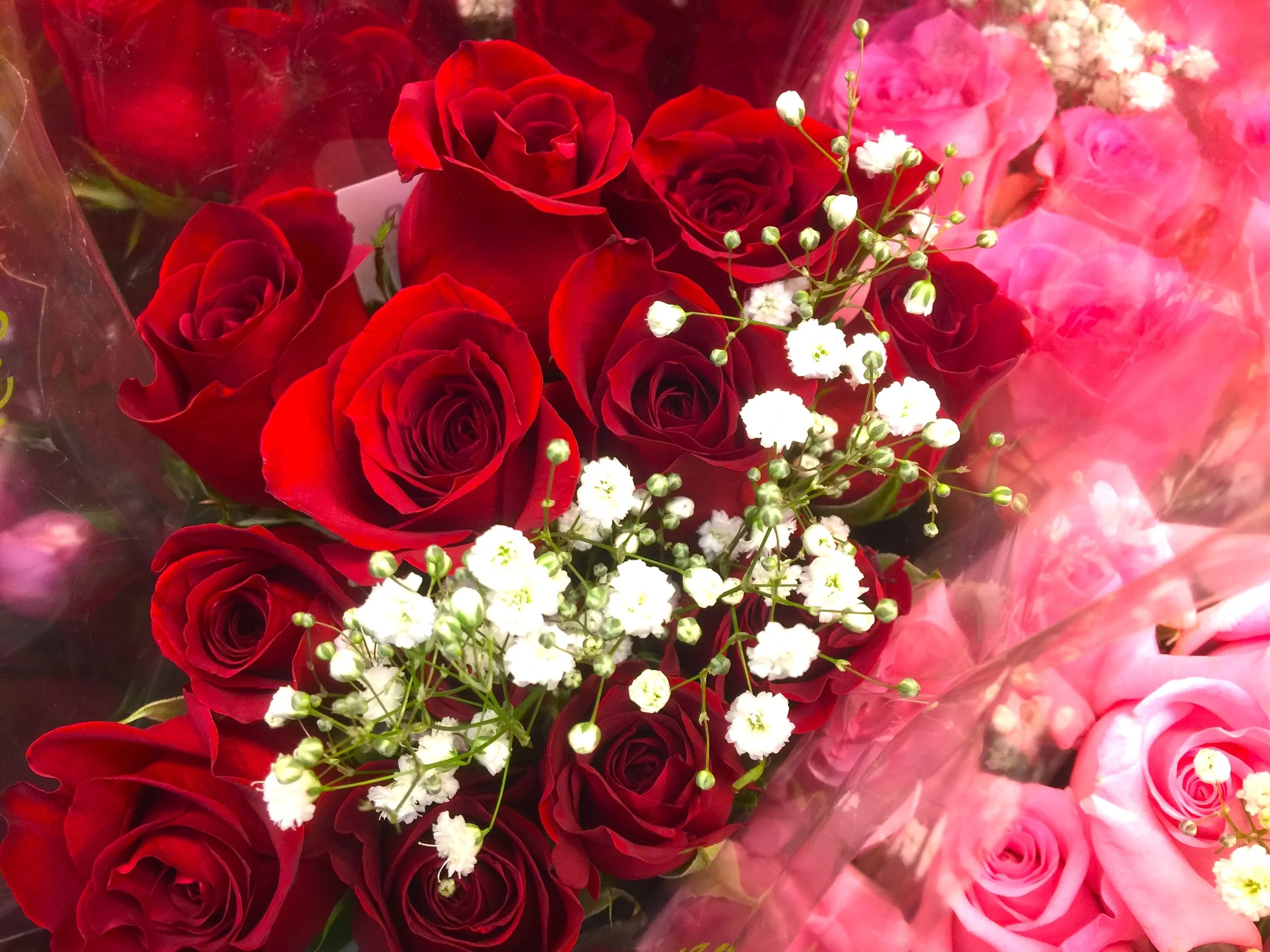 The Extravagance at a Floral Shop 鬥豔