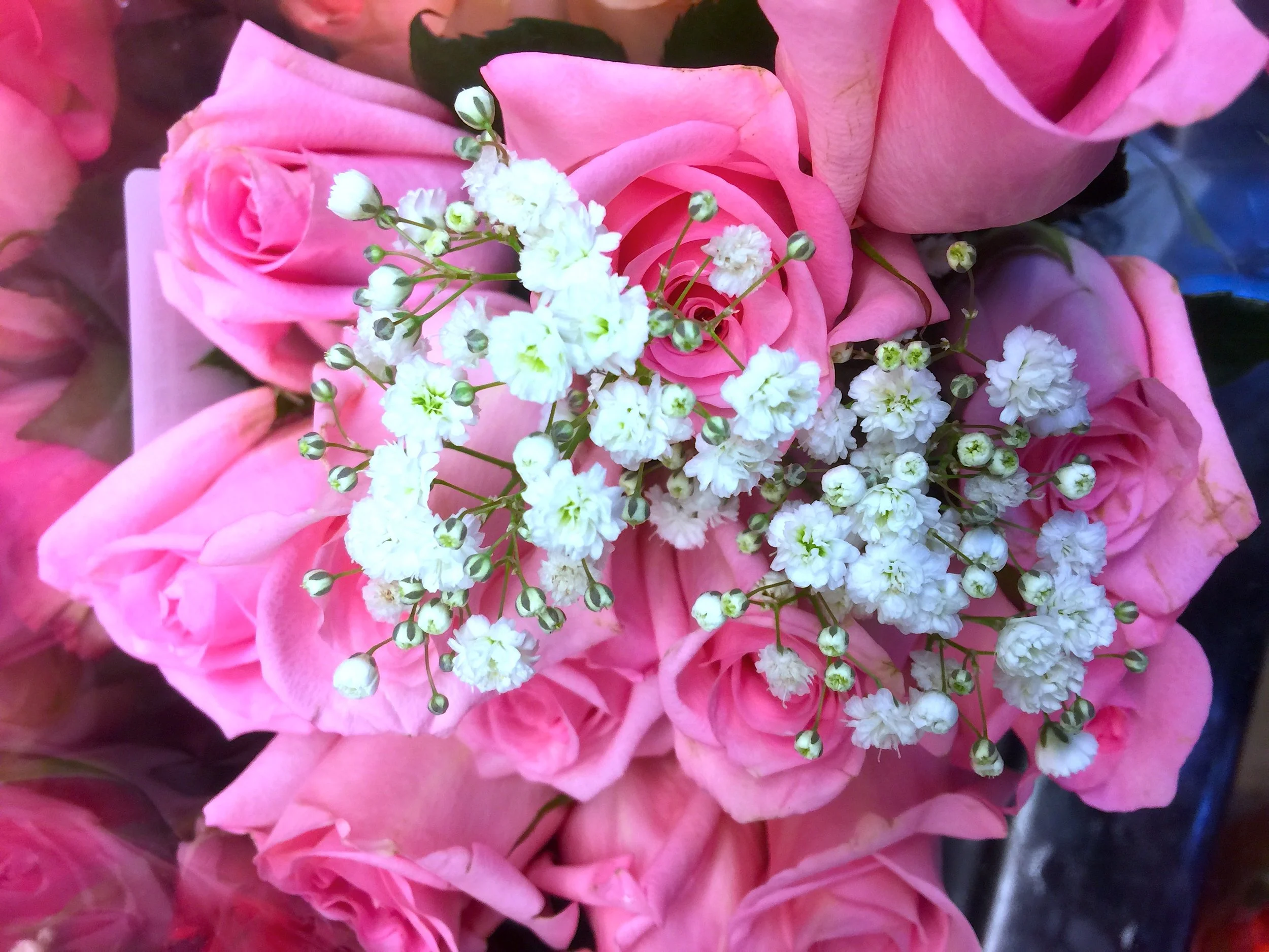 For My Sweetheart 甜蜜的心