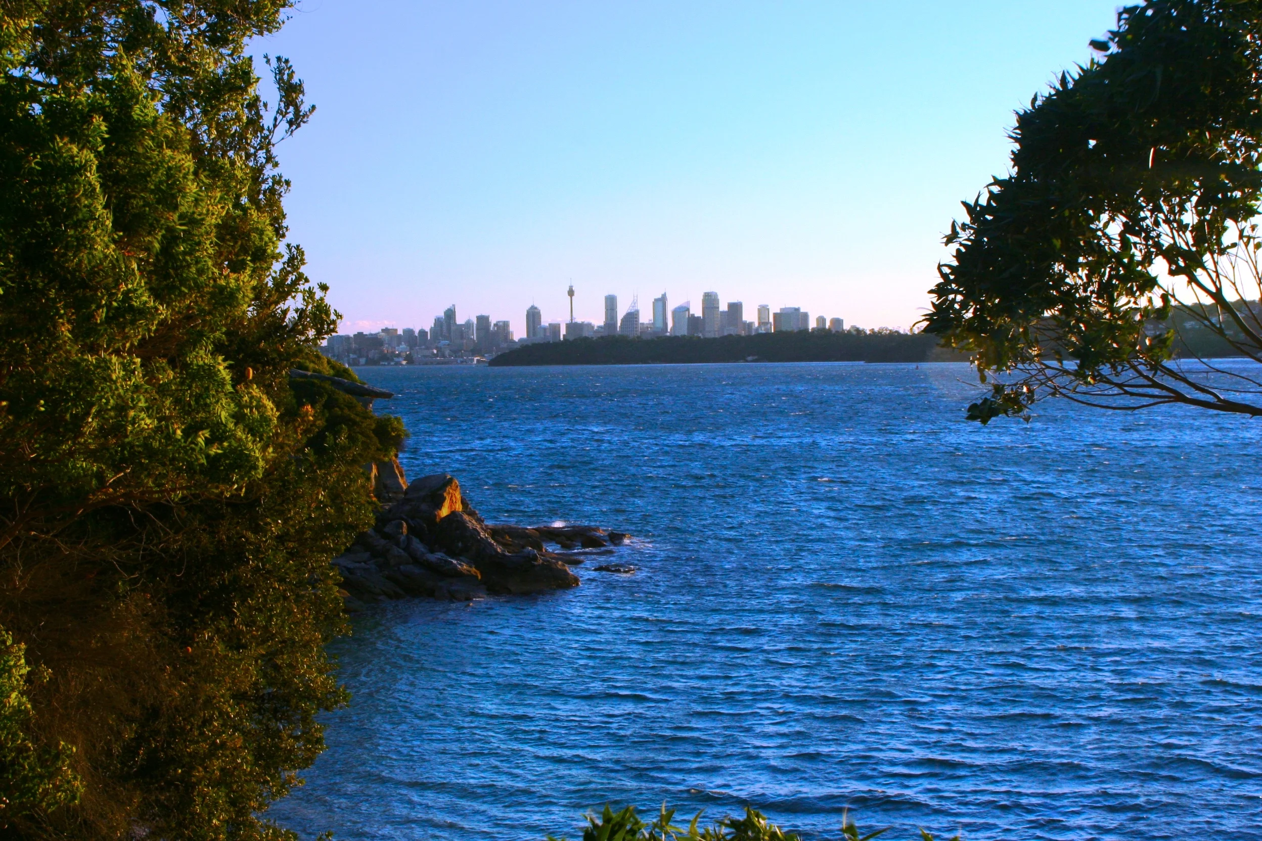 Sydney, My Dear Sydney! 悉尼遠望