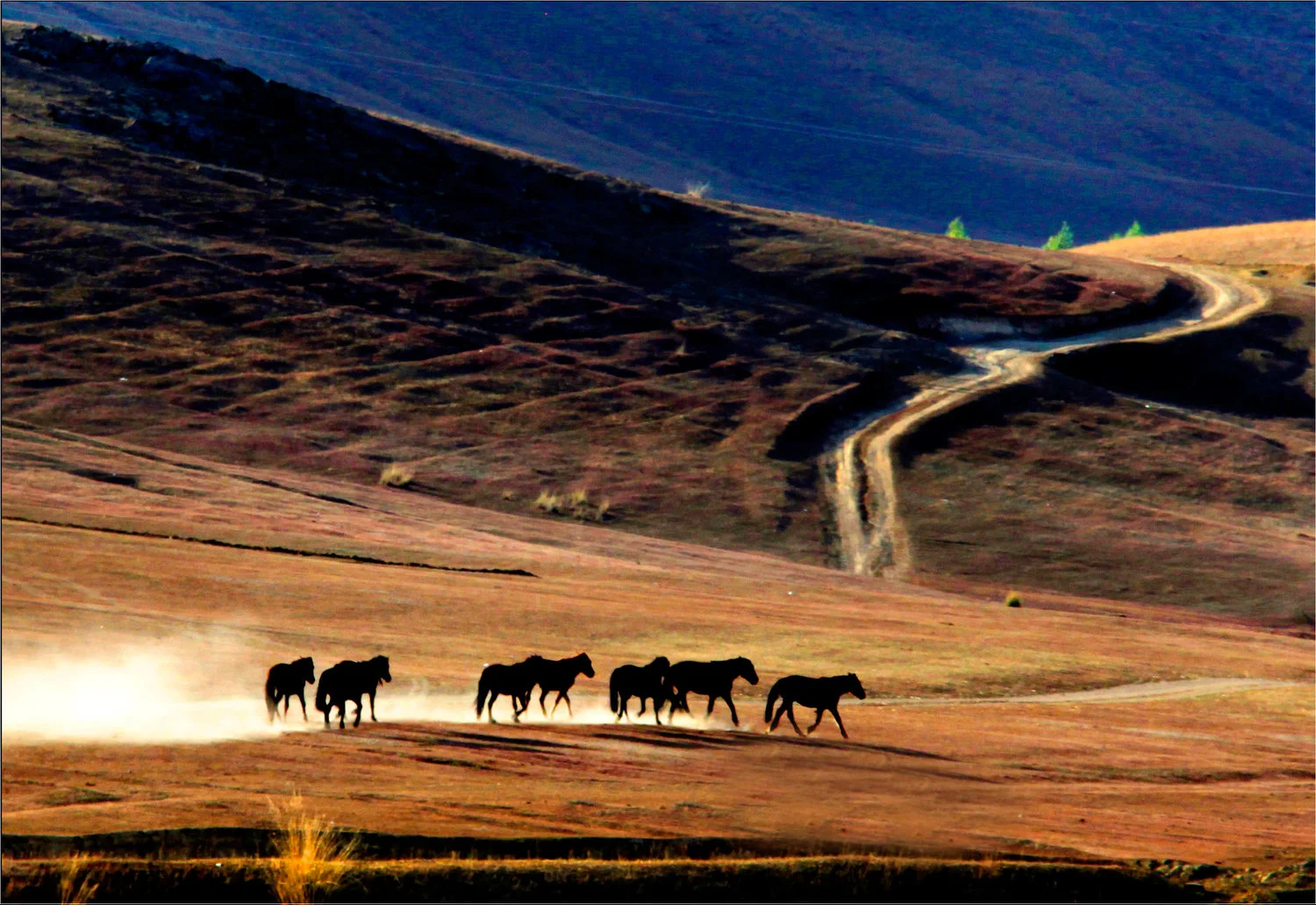 On The Way 陌上(調寄天淨沙)