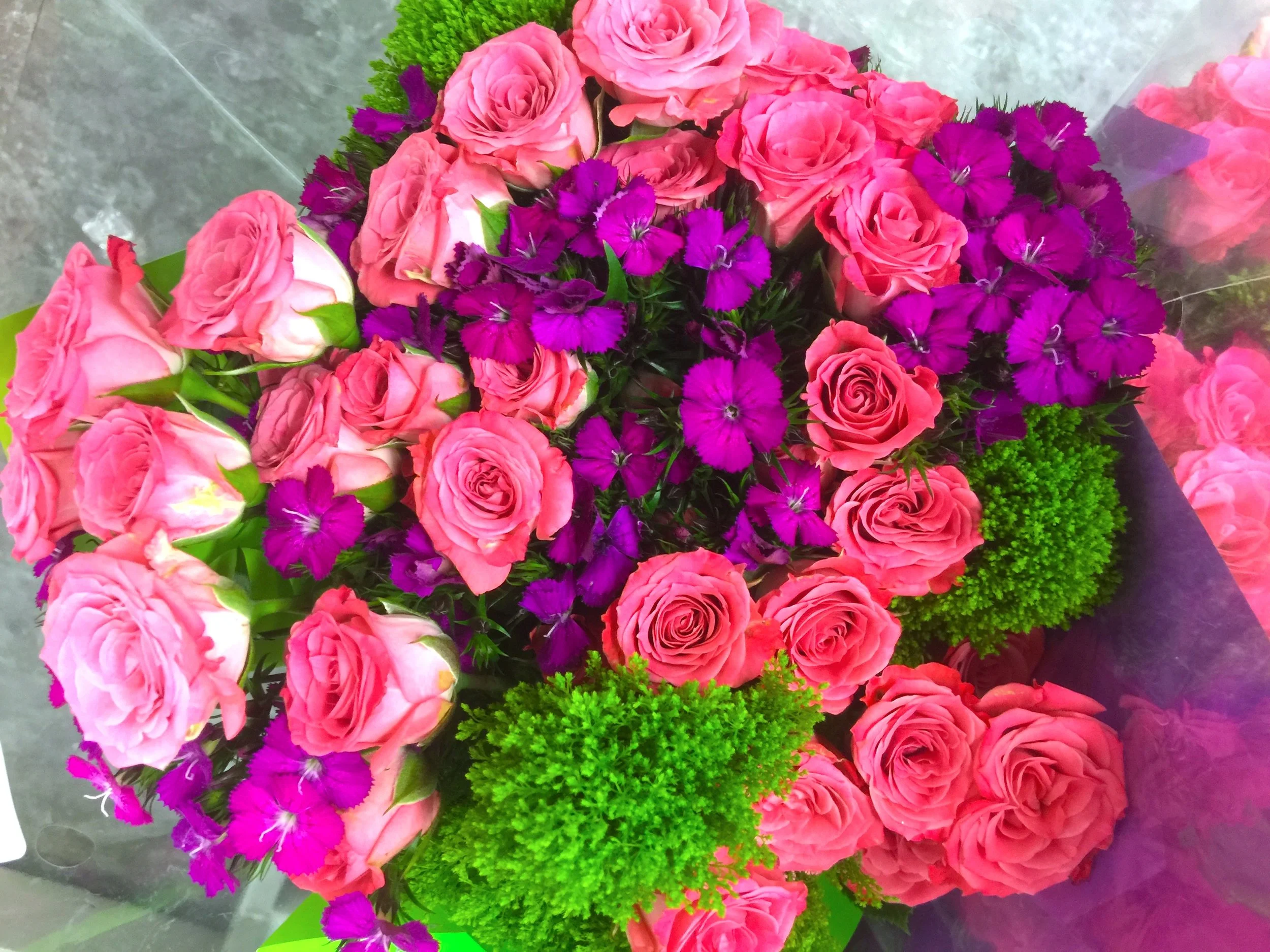 "The Vision Charms the Hours Away" 賞心之境