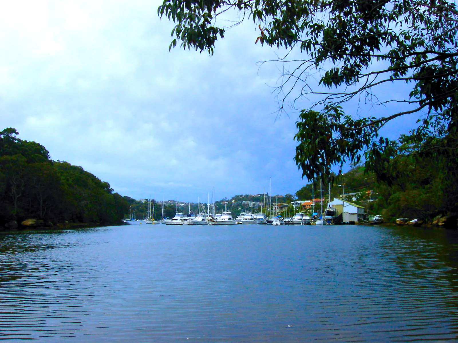 A Quiet Port 海港小景
