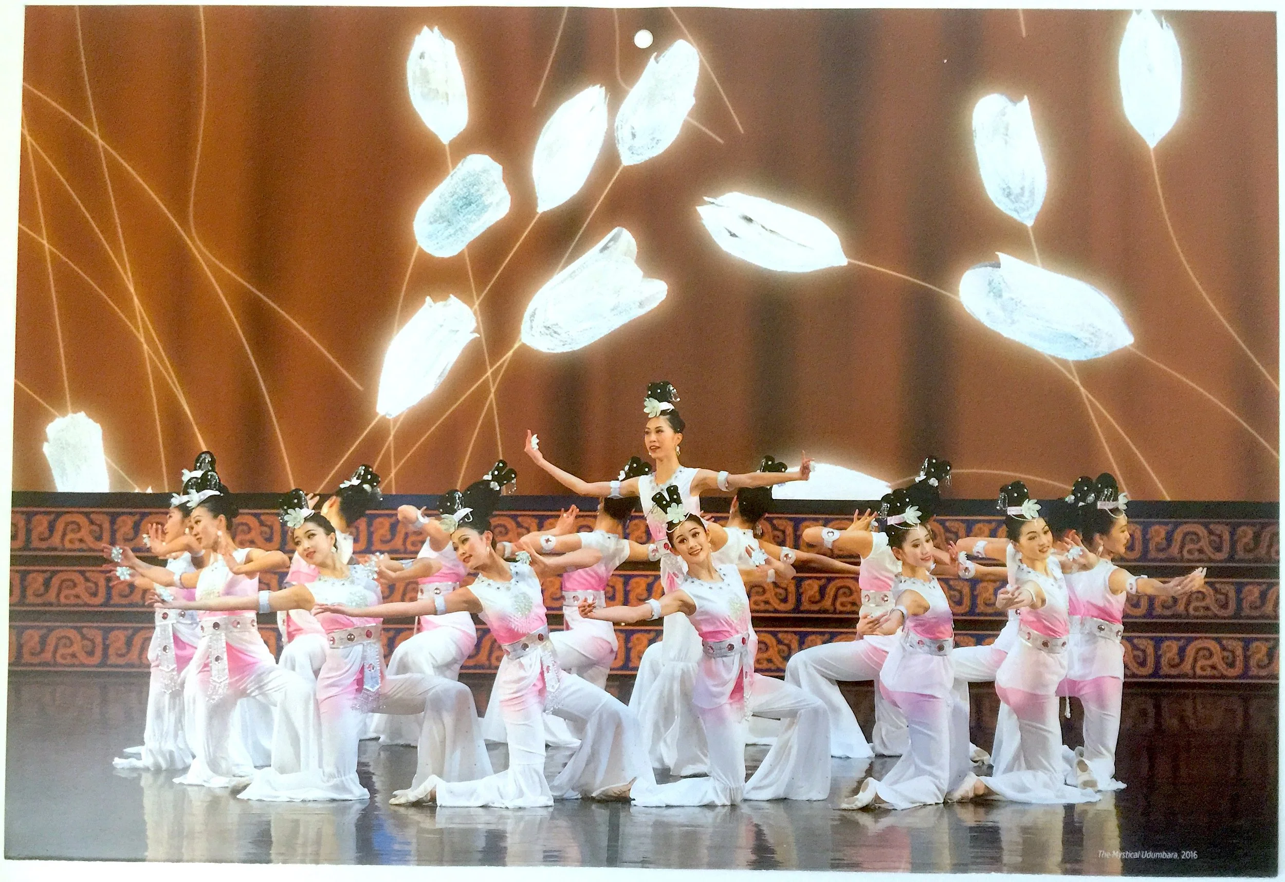 由優曇婆羅花談起