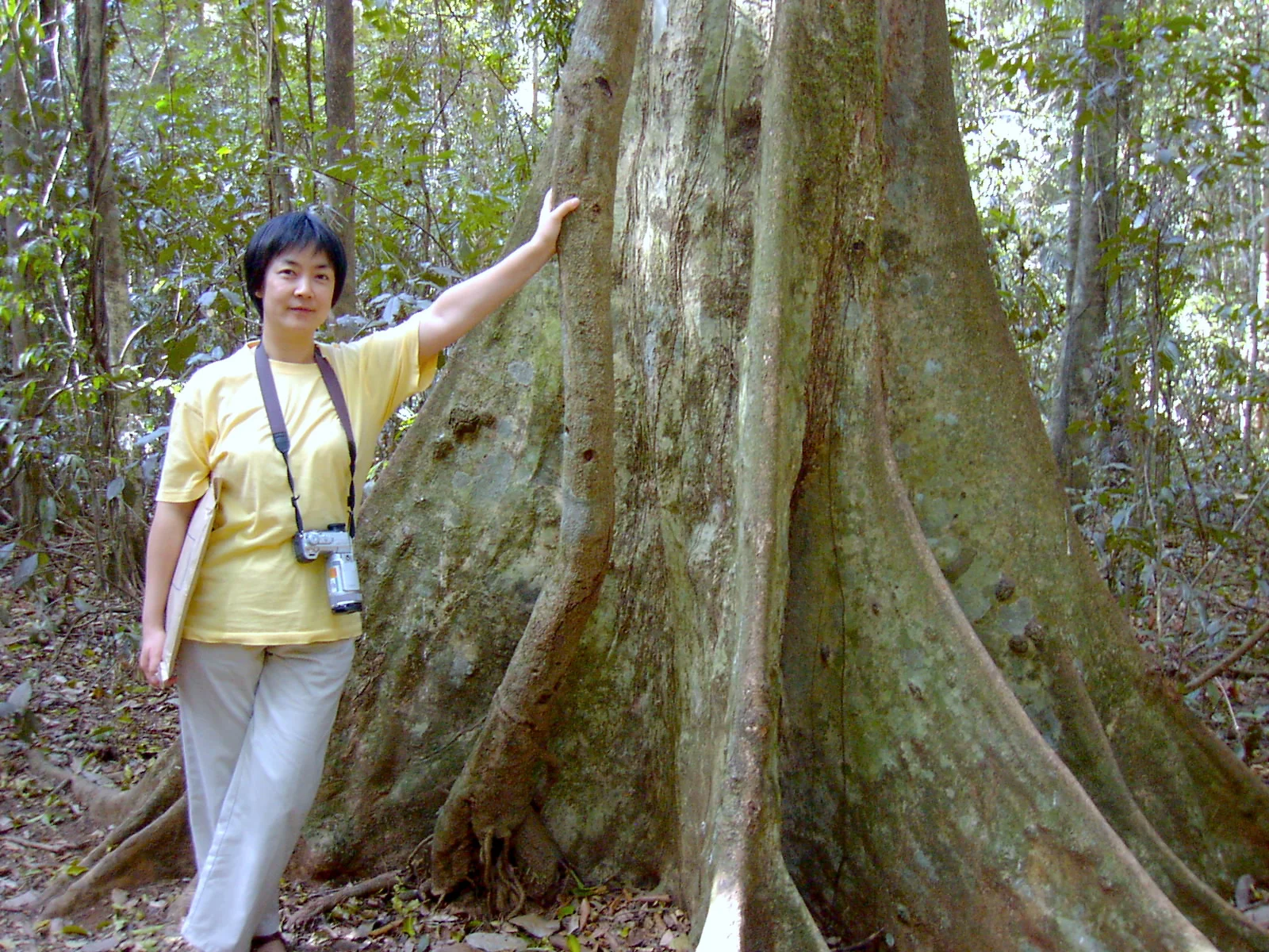 Once upon a Time 從前有一天