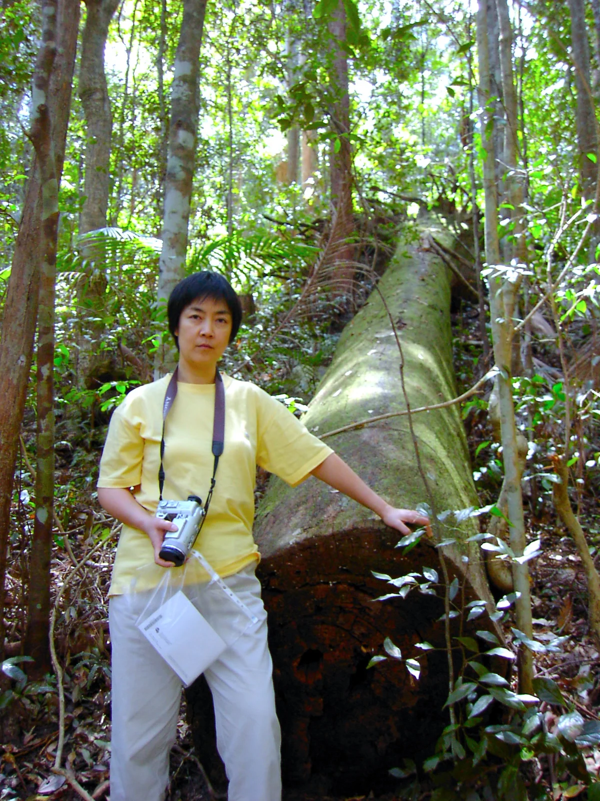 Into the Woods 密林深處