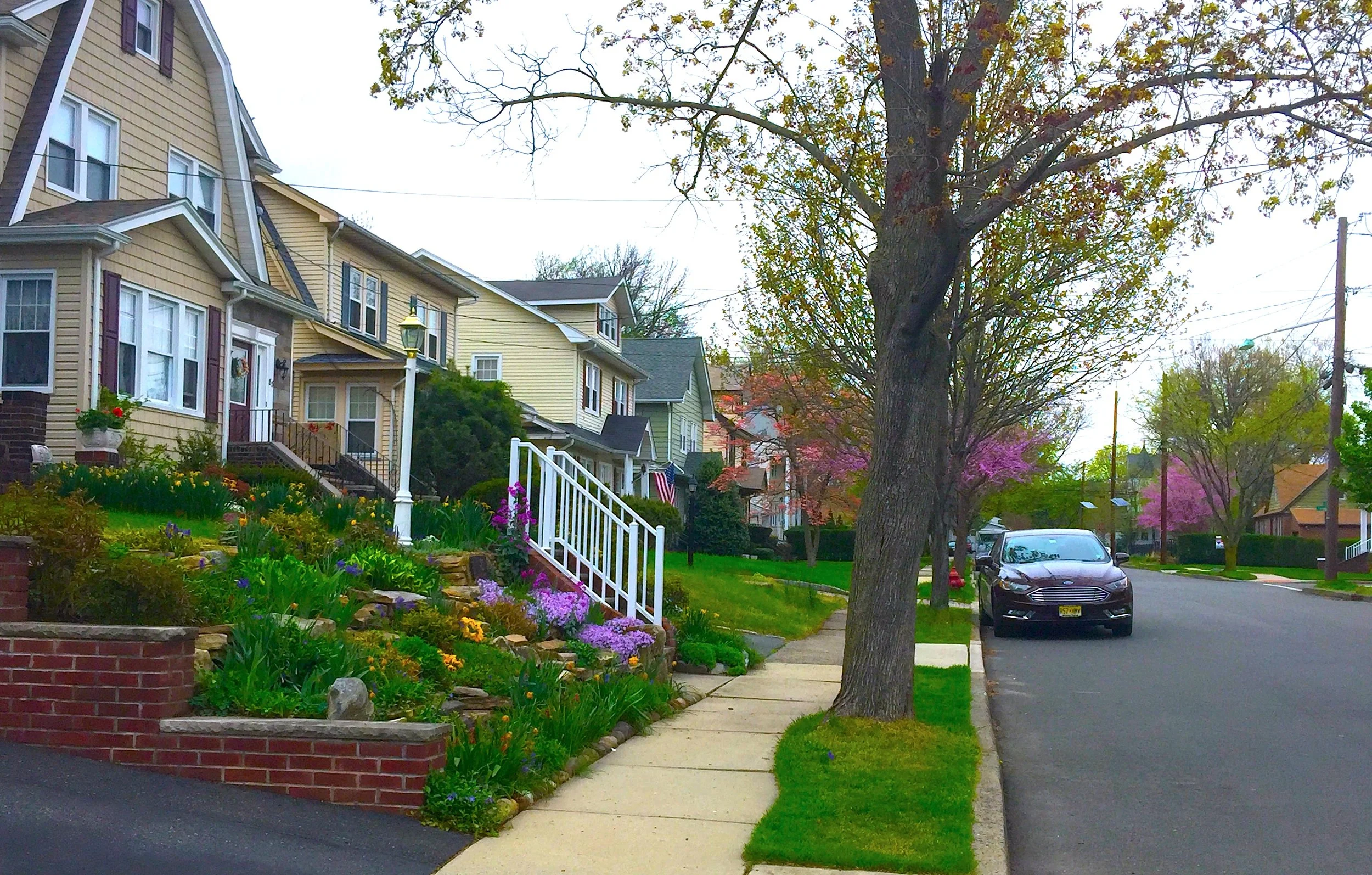 The Spring Time 春色