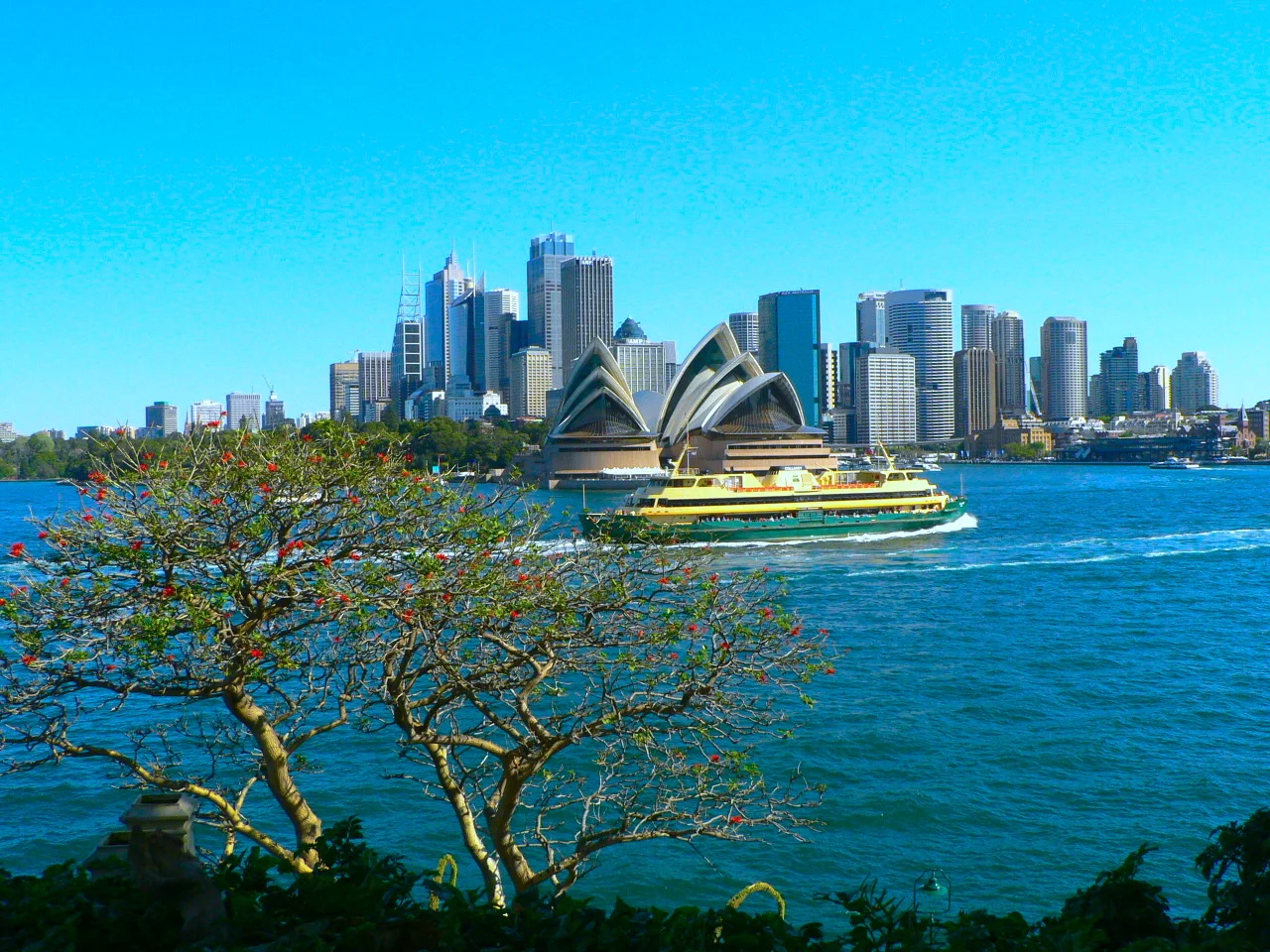 Sydney Opera House 悉尼歌劇院
