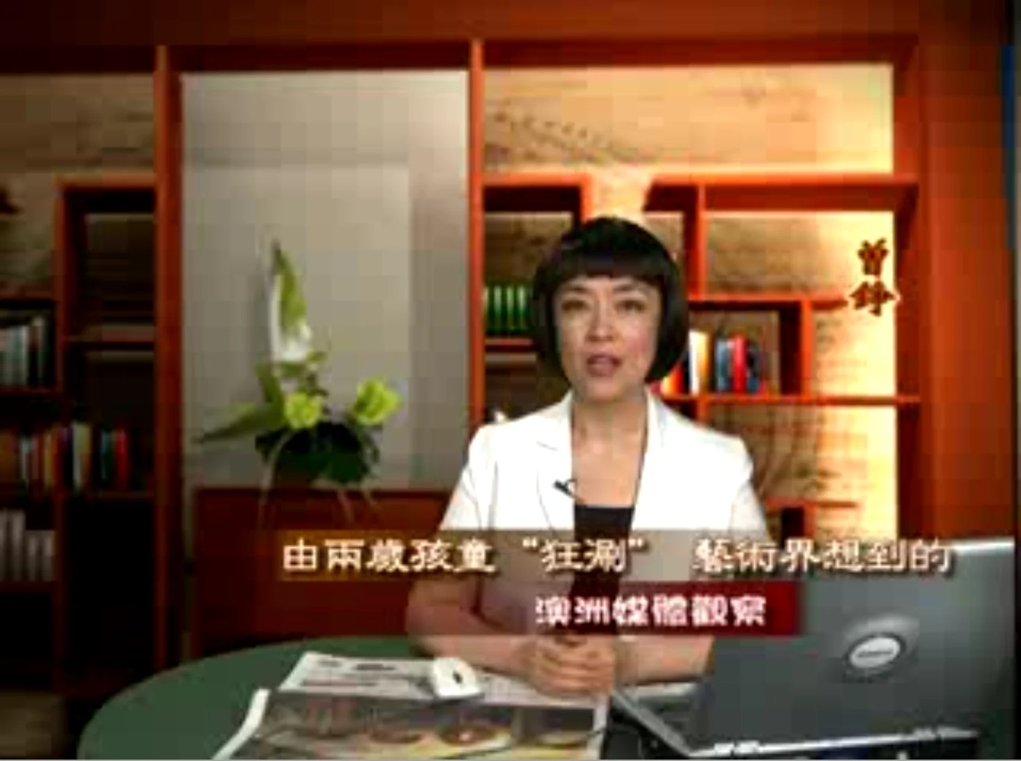 新唐人《澳洲广角》第254 集- 含曾錚評論-由兩歲兒童「狂涮」藝術界想到的