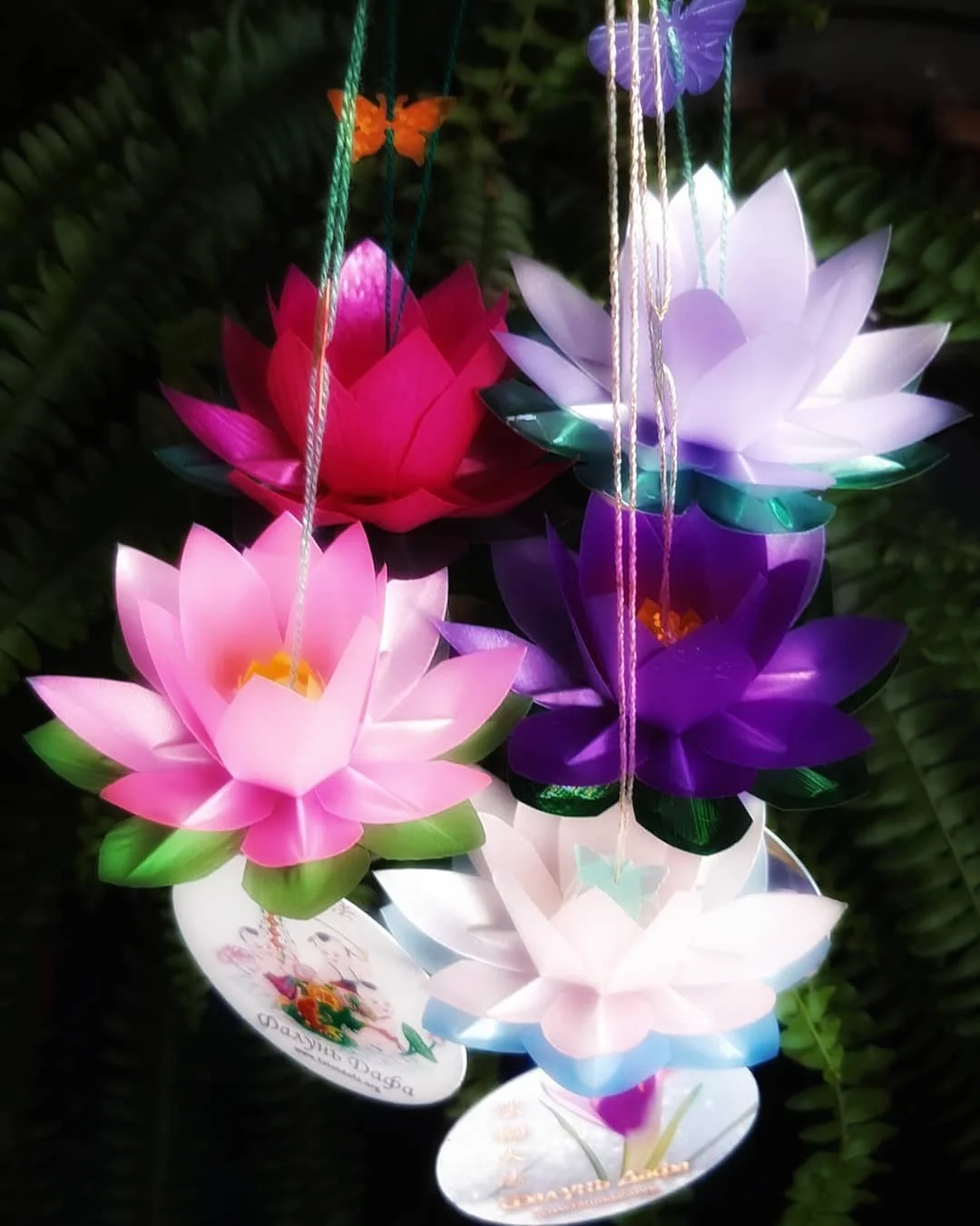 Until Even Wings Surrender