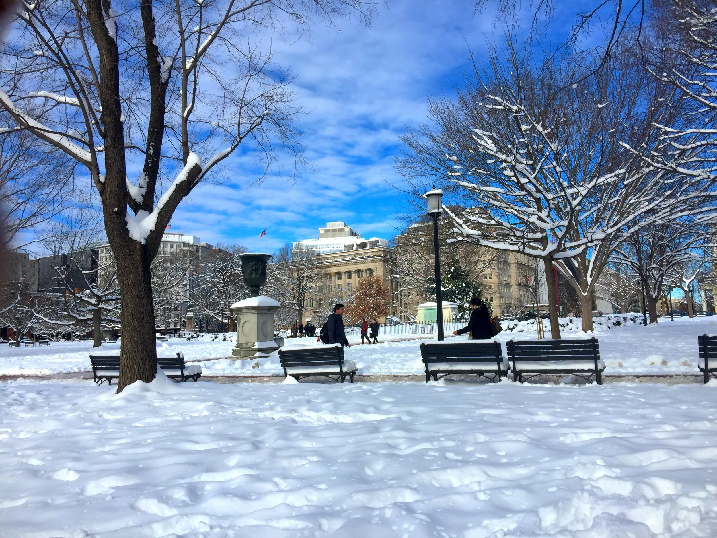 A Sunny Day after Snow 雪後天晴