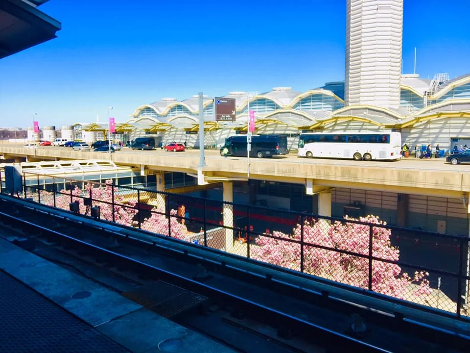 At Ronald Reagan Washington National Airport on March 26, 2019年3月26日攝於華盛頓羅納德·里根華機場。