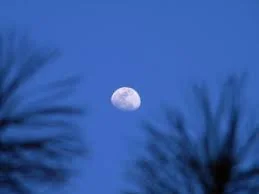 本該忘卻 卻還記得