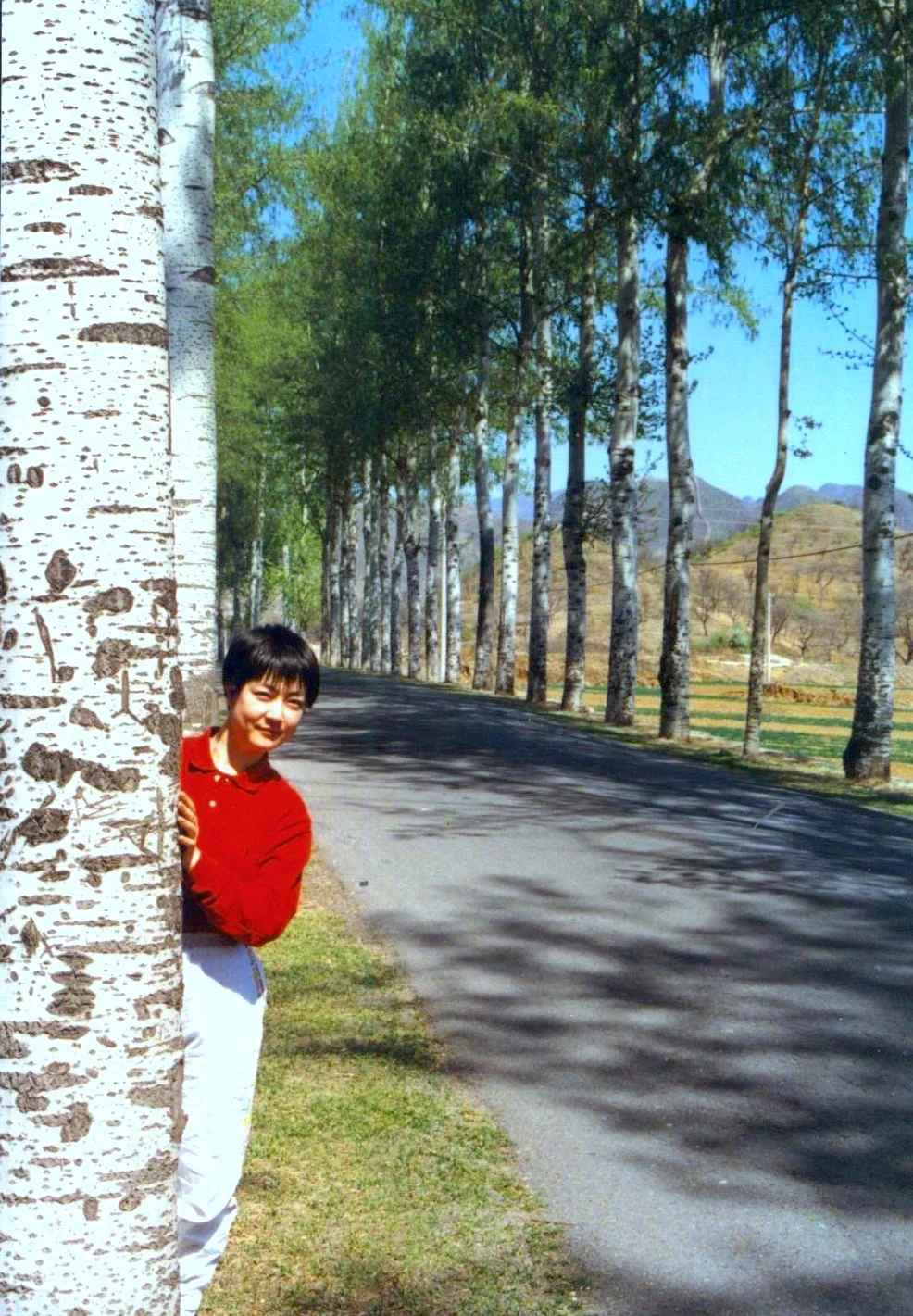 Once Upon A Time  綠葉紅衫