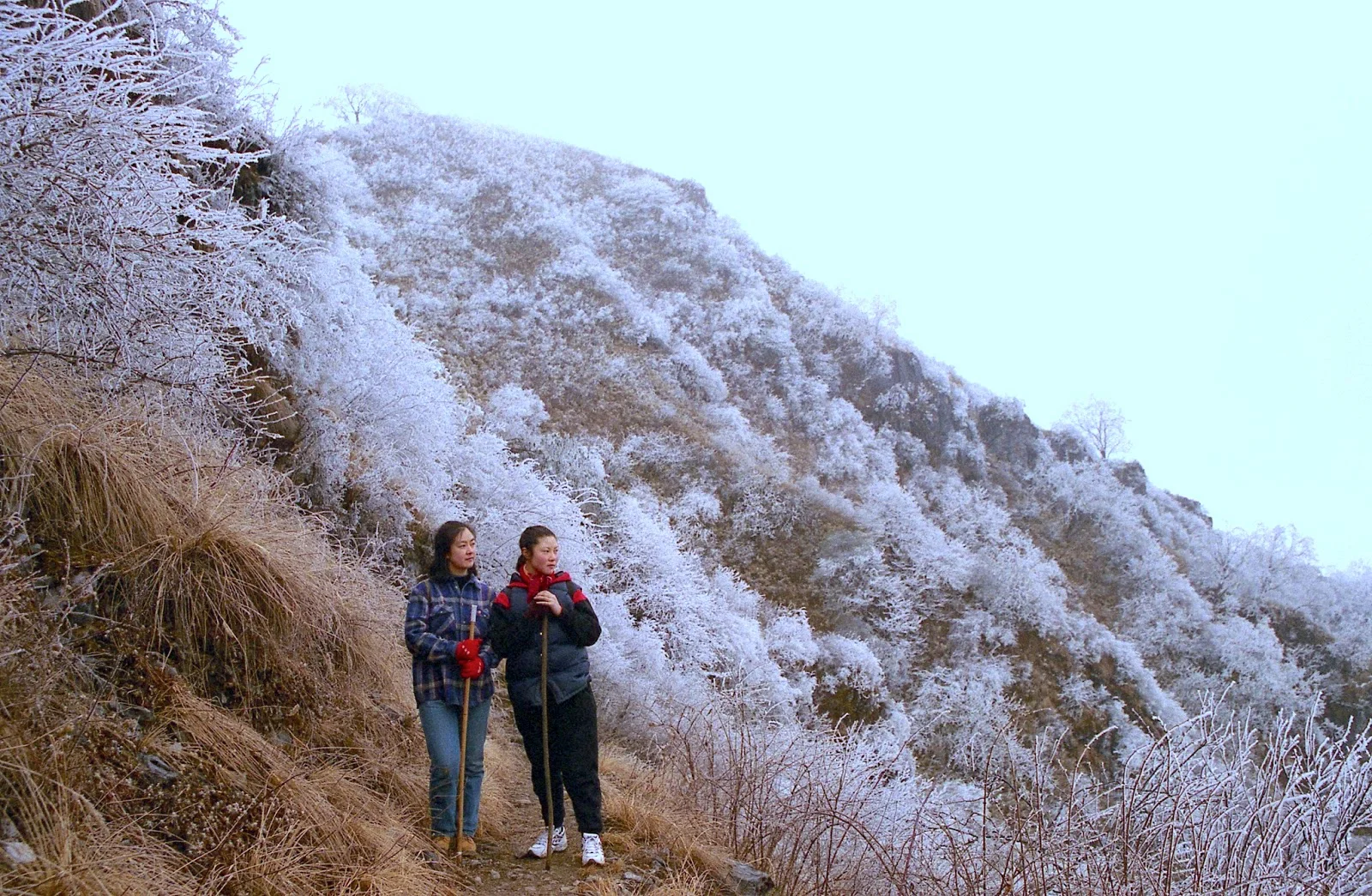 On top of Xiling Snow Mountain 雪山之巔