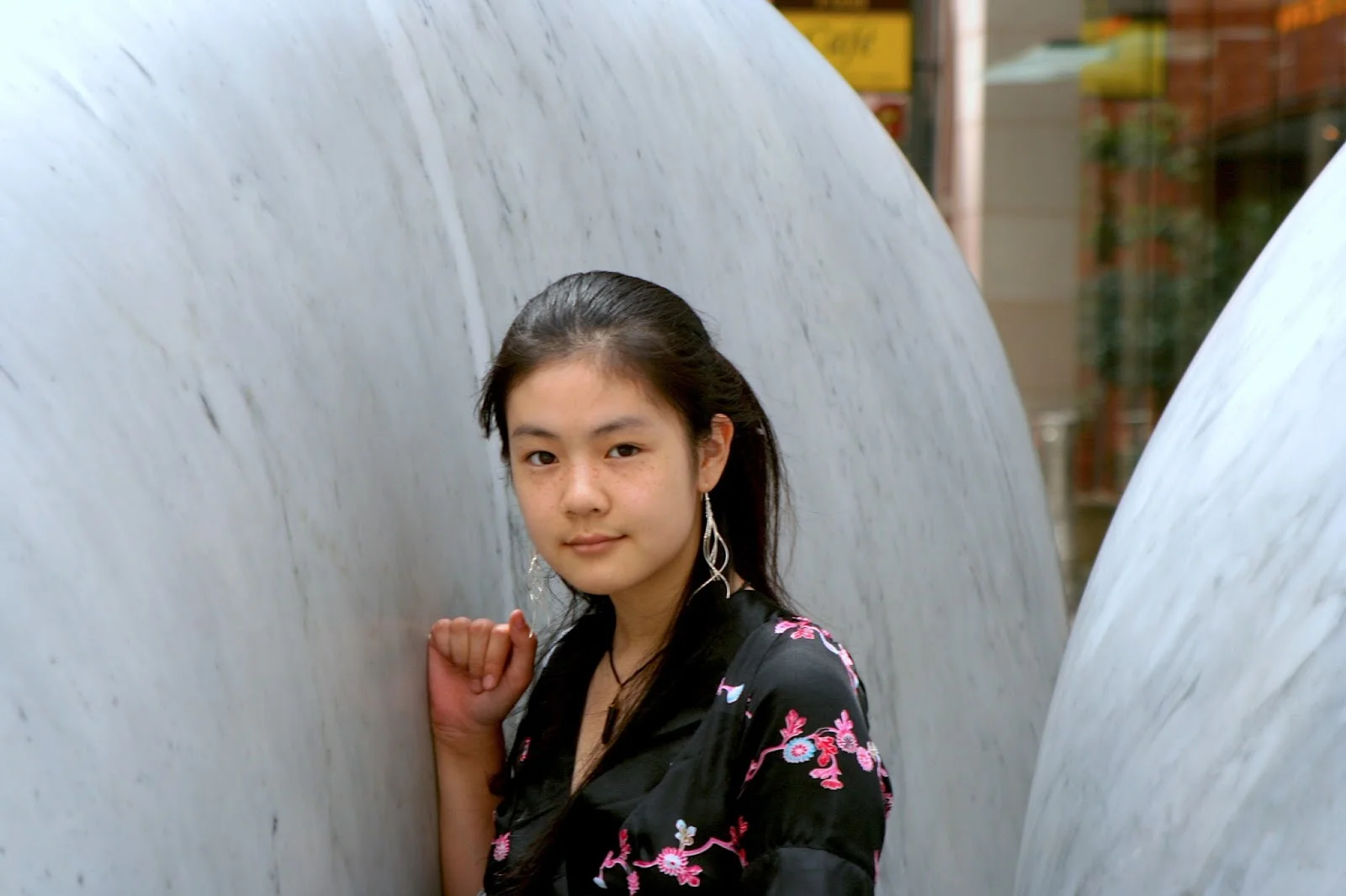 Portrait of a Young Lady 少女畫像