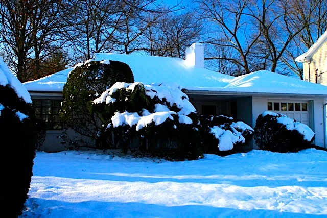 Winter in New Jersey 冬日裏的新澤西