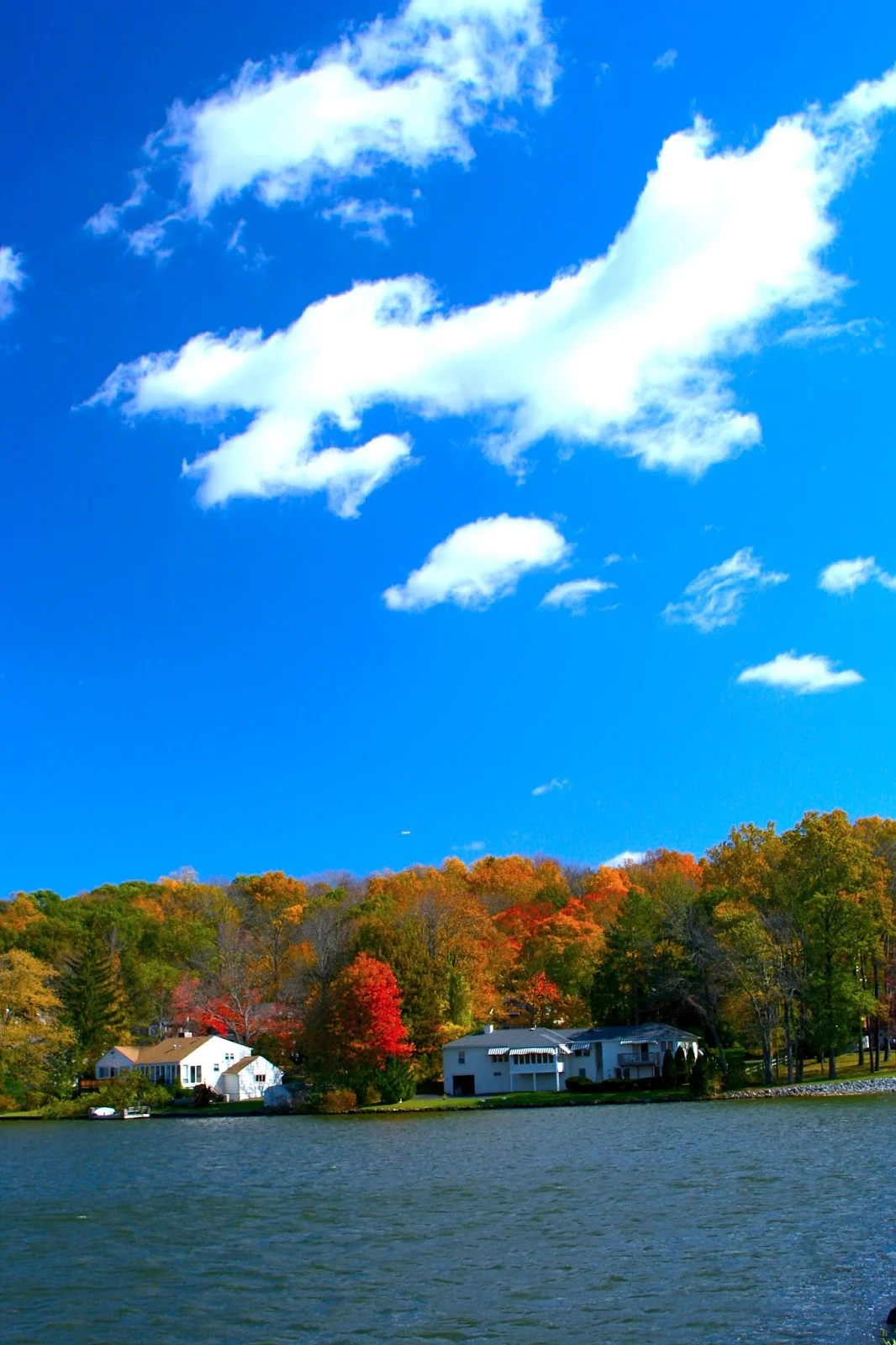  Colors of the Autumn 秋高