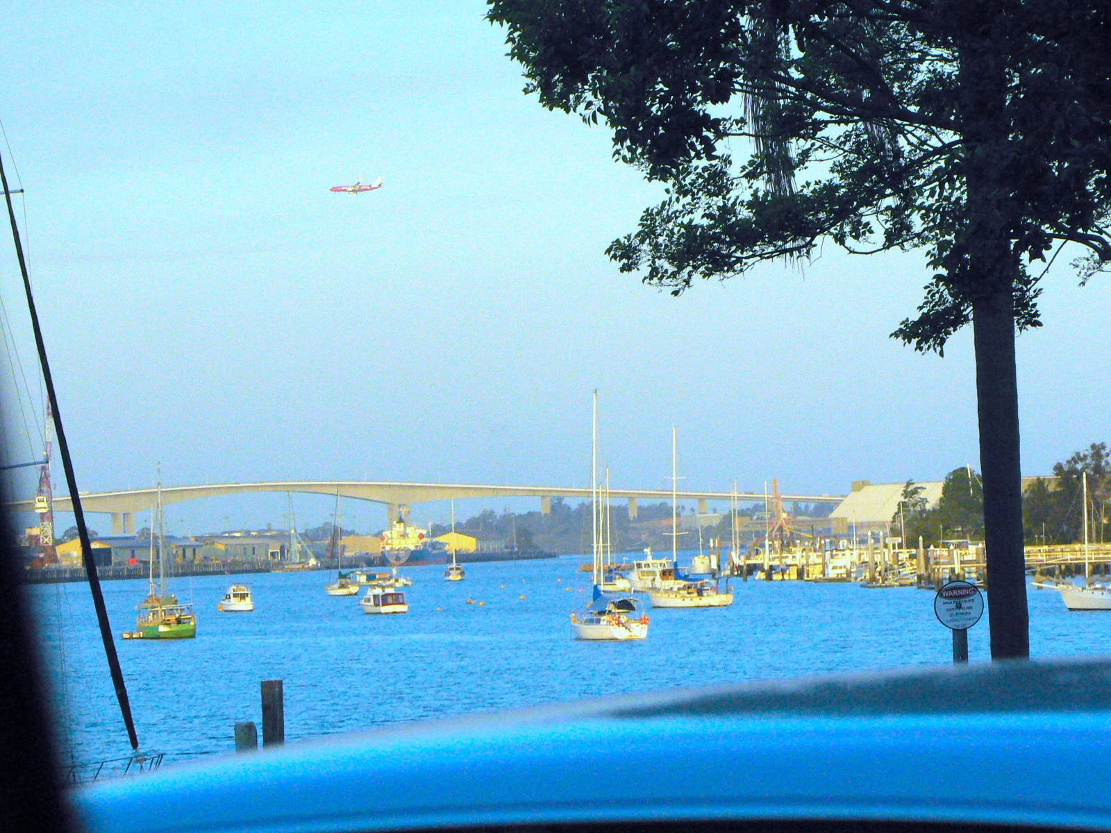 A View of Brisbane from inside a Car-布里斯本之車窗小景