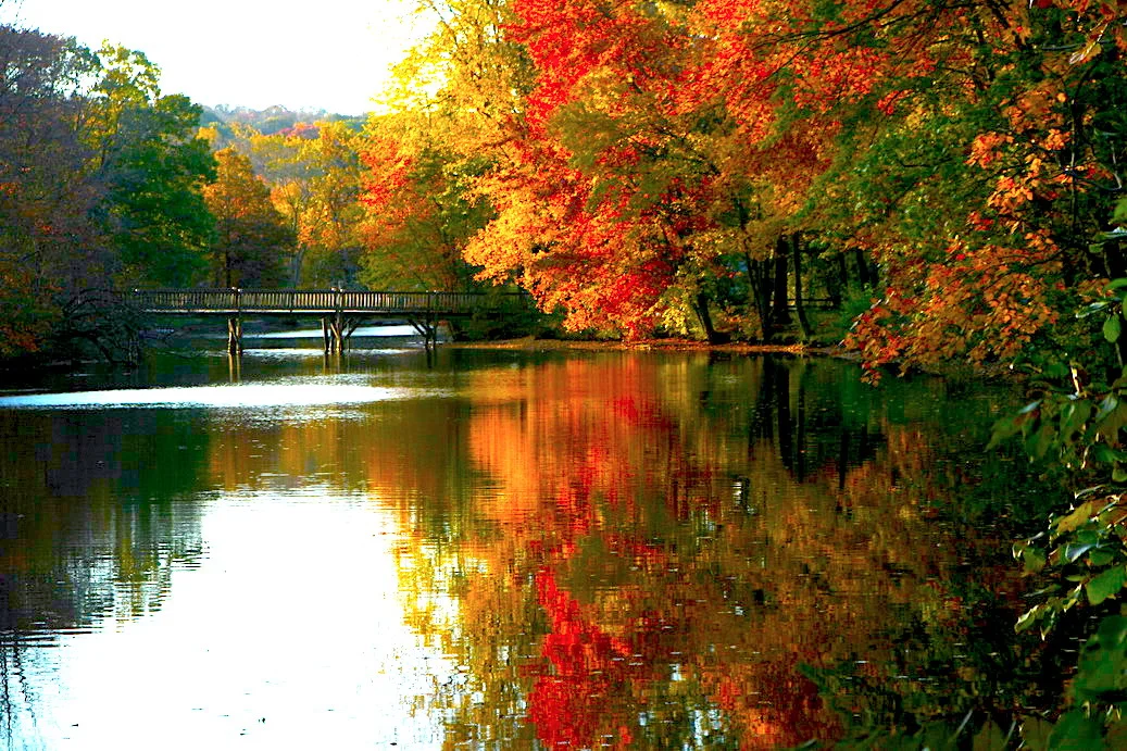 Autumn by the Lake 秋水