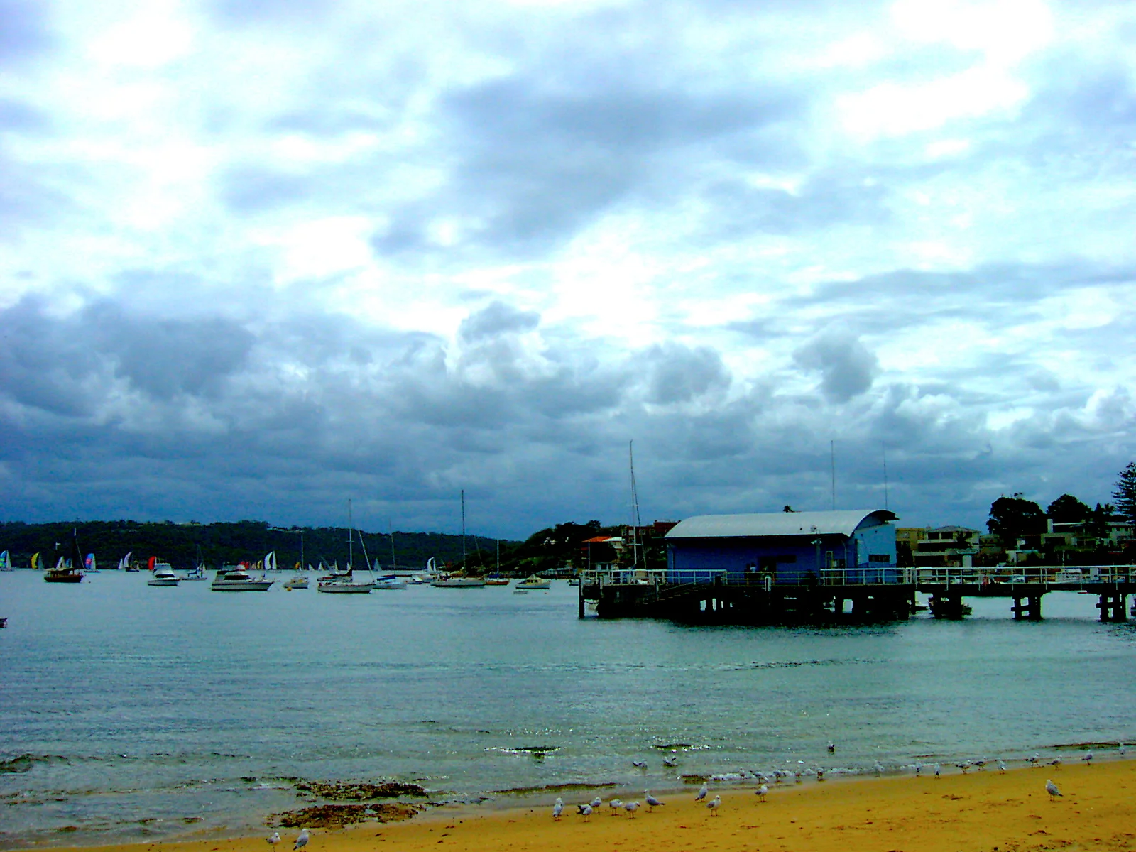 Watsons Bay in Sydney 悉尼 Watsons 灣小景
