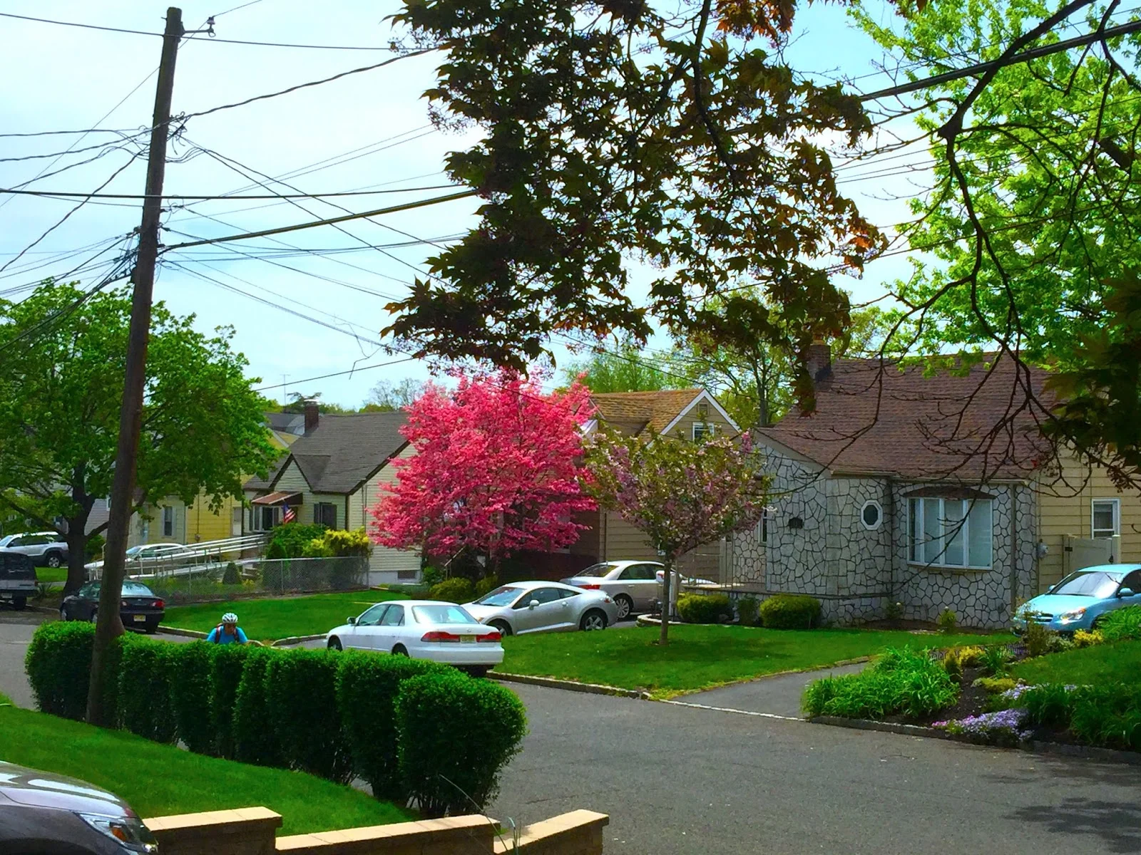 A Quiet Moment in Spring 春日小景