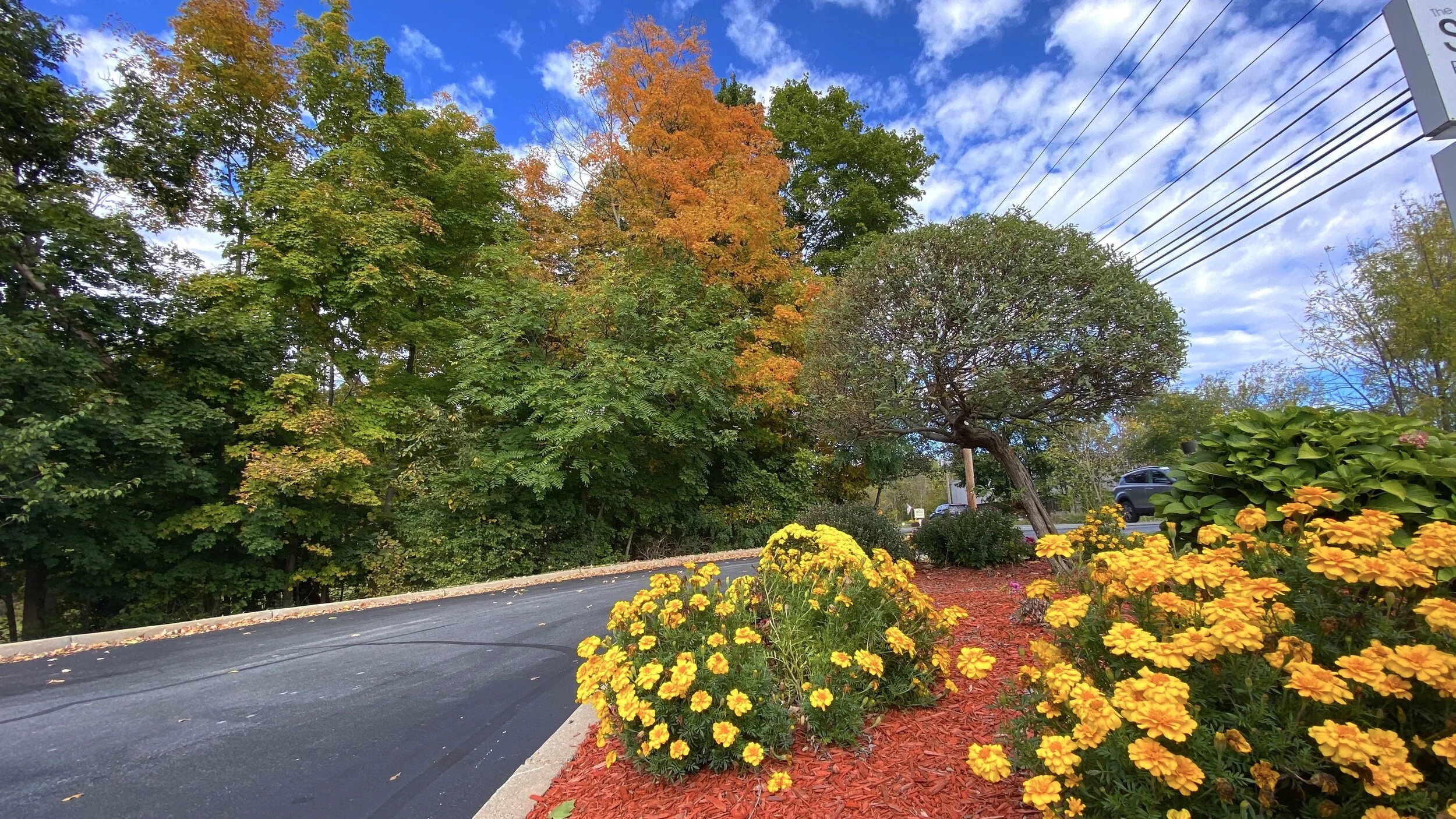 My Everyday Life in the Countryside-Autumn Is So Beautiful 我的鄉間生活日常-彩色的秋天