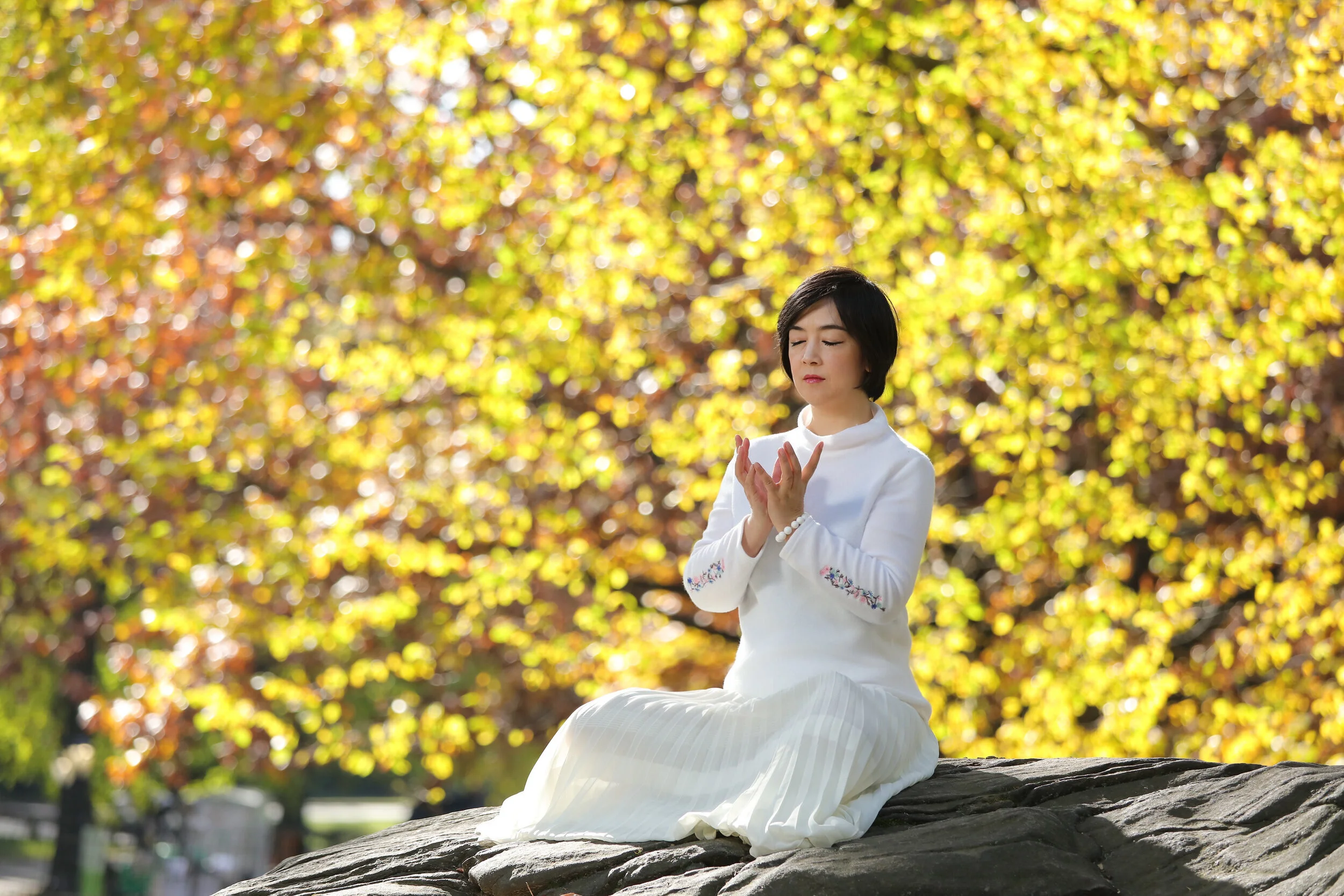 Sending Forth Righteous Thoughts 發正念