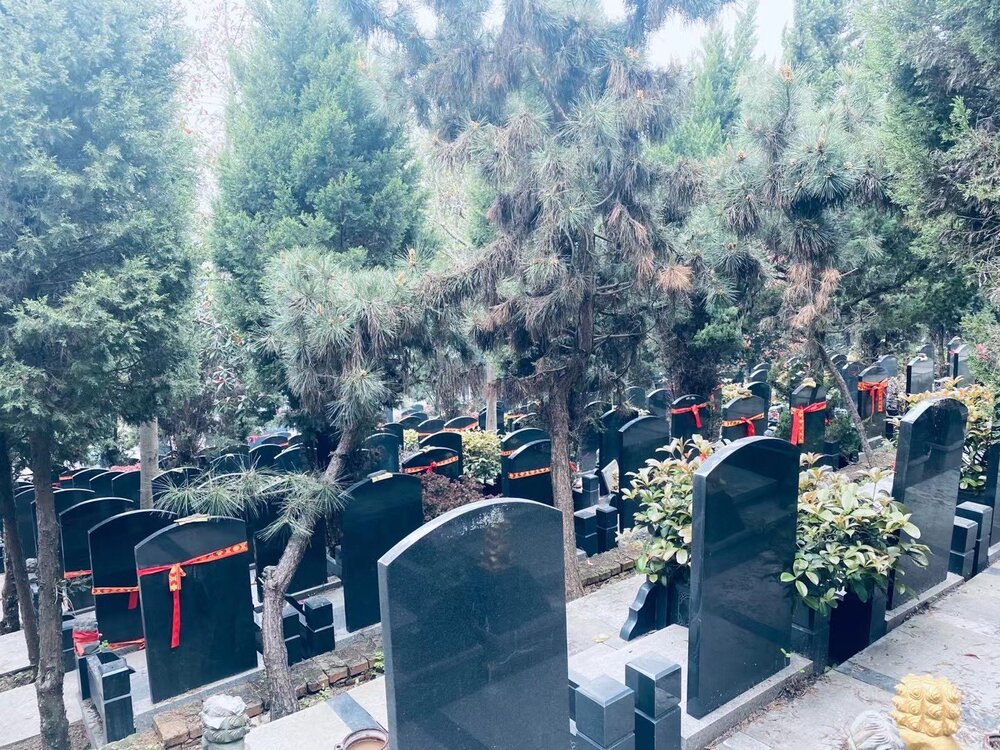 A new cemetery in Wuhan 武漢一處新增的公墓